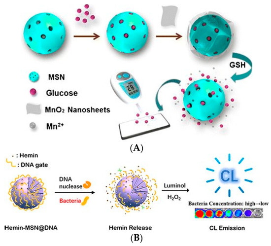 Biosensors Coupled with Signal Amplification Technology for the