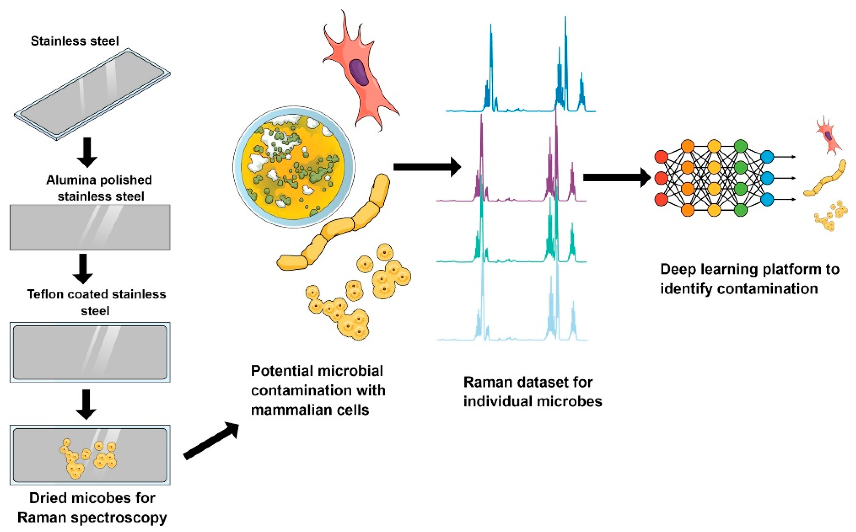 Biosensors 11 00190 g015 Biosensors 11 00190 g015