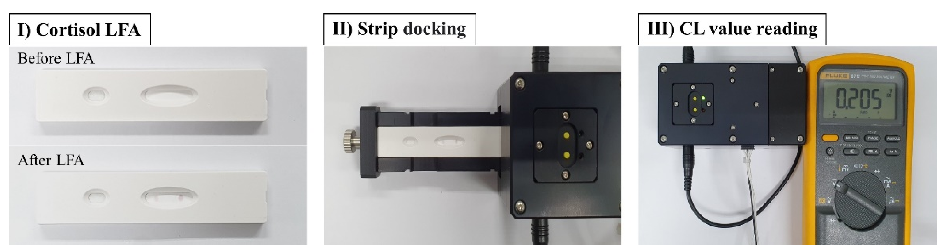 Biosensors 11 00191 g002
