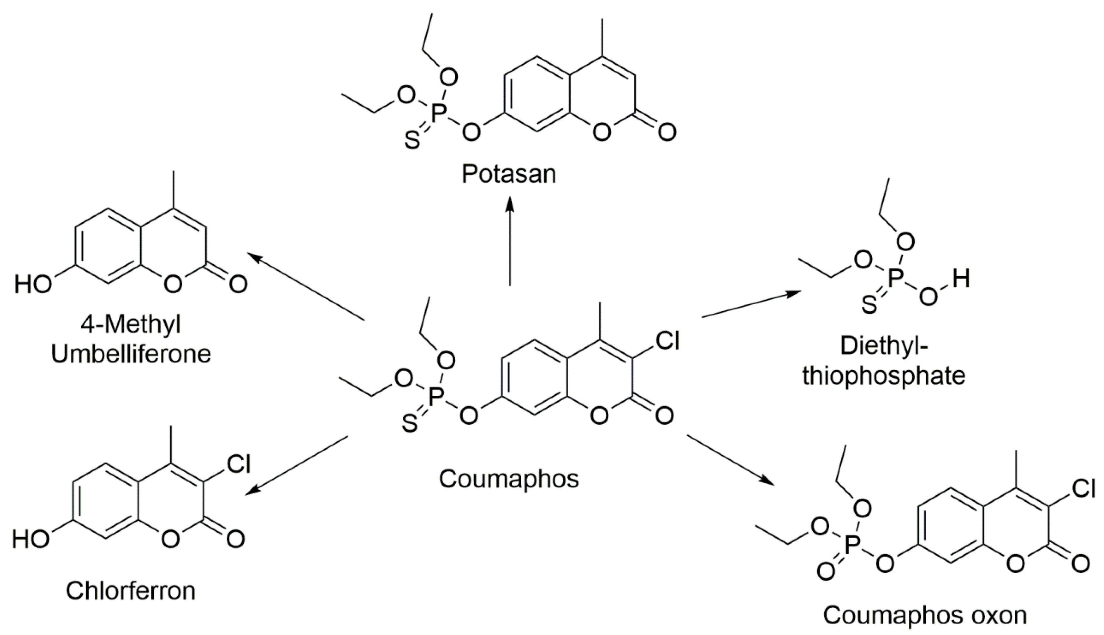 Biosensors 11 00192 g001