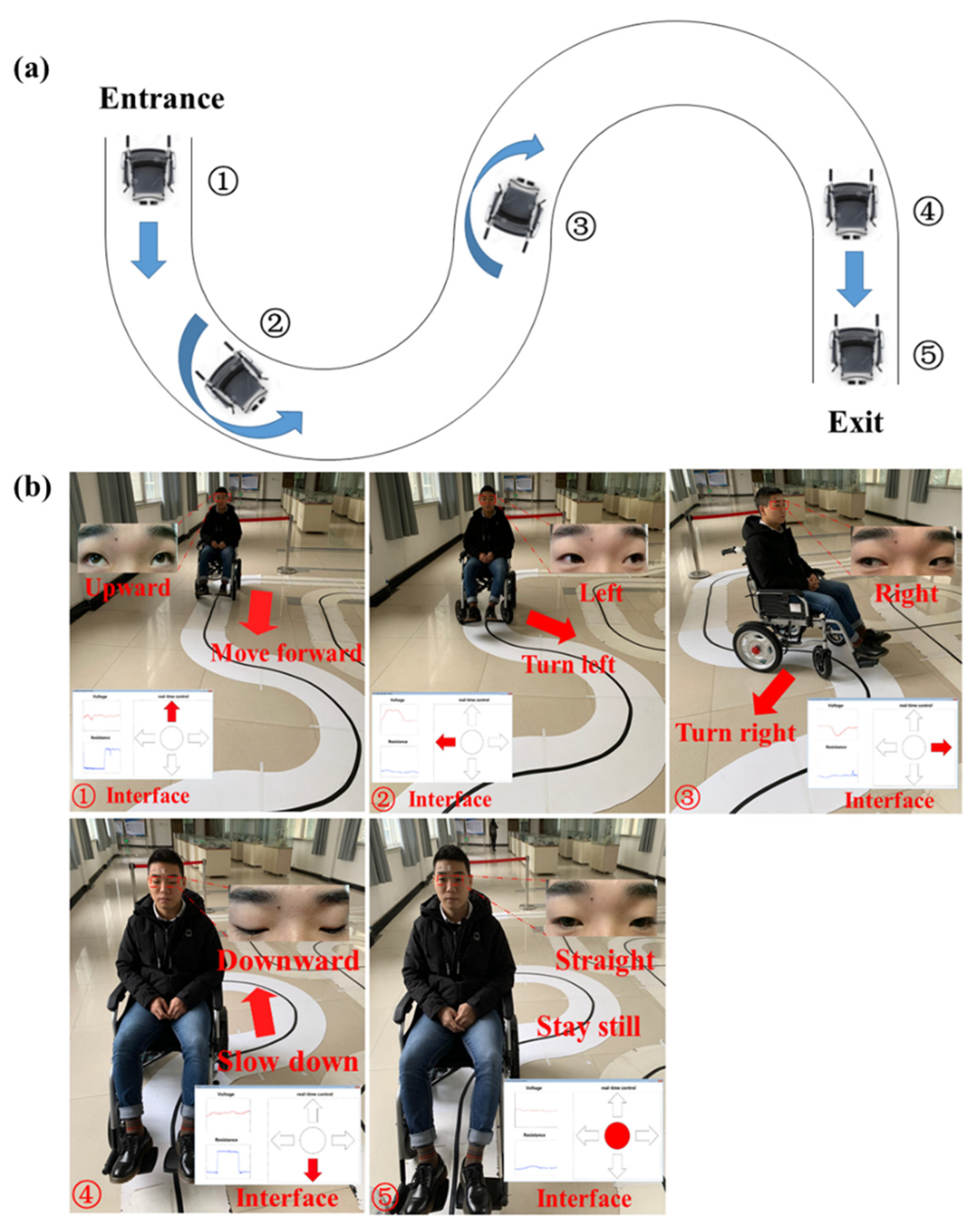 Biosensors 11 00198 g009