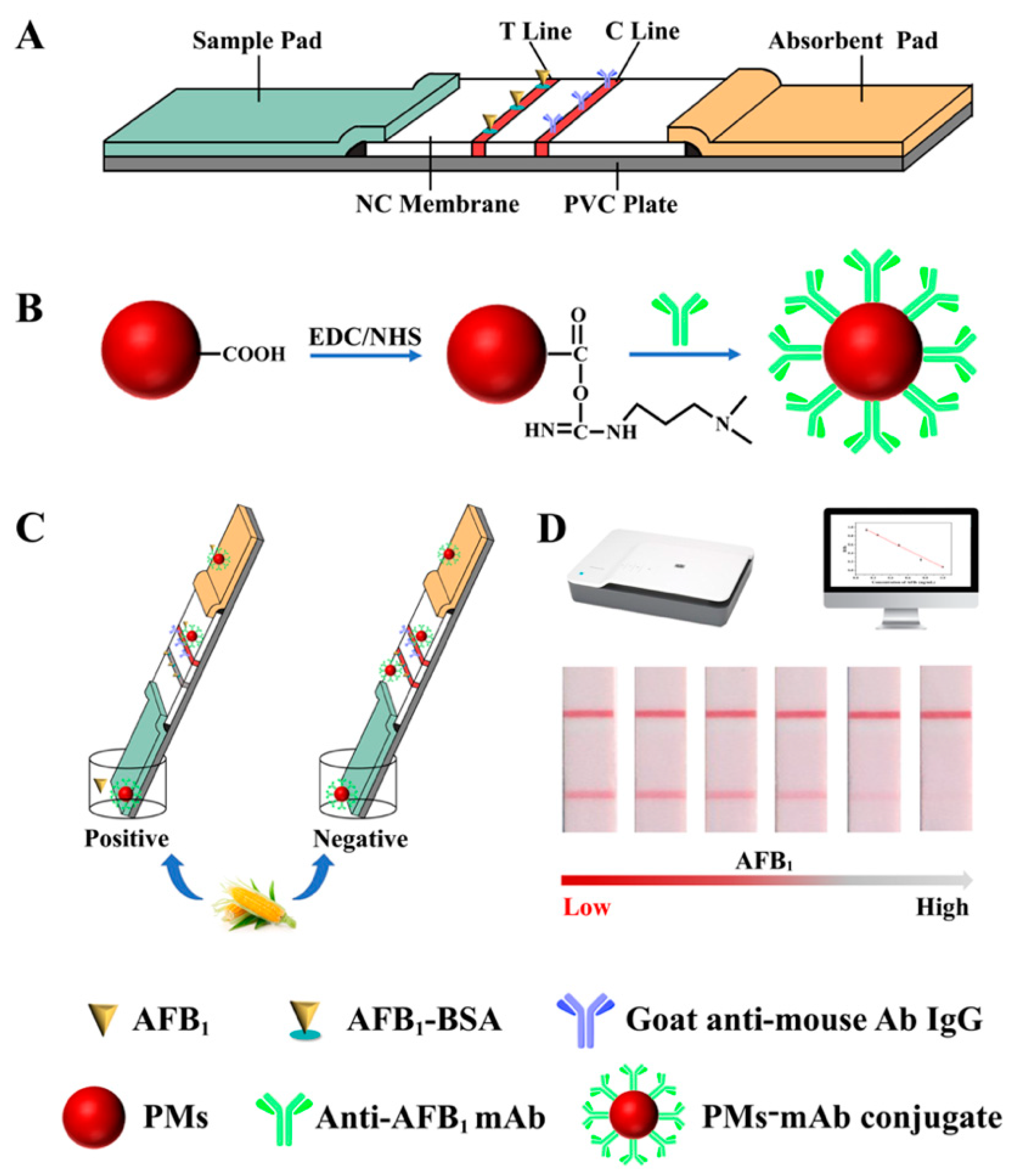 Biosensors 11 00200 g001