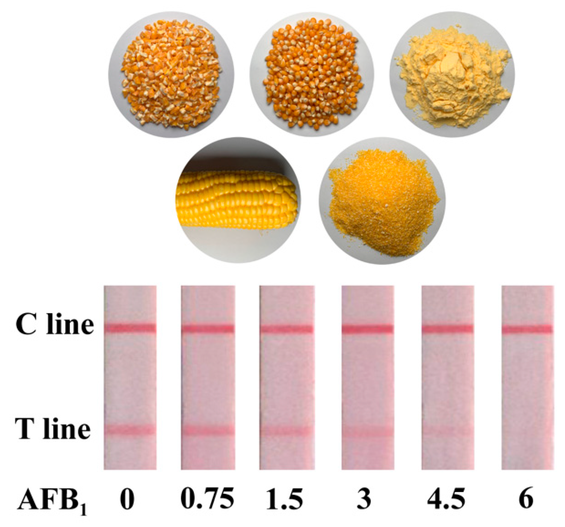 Biosensors 11 00200 g004