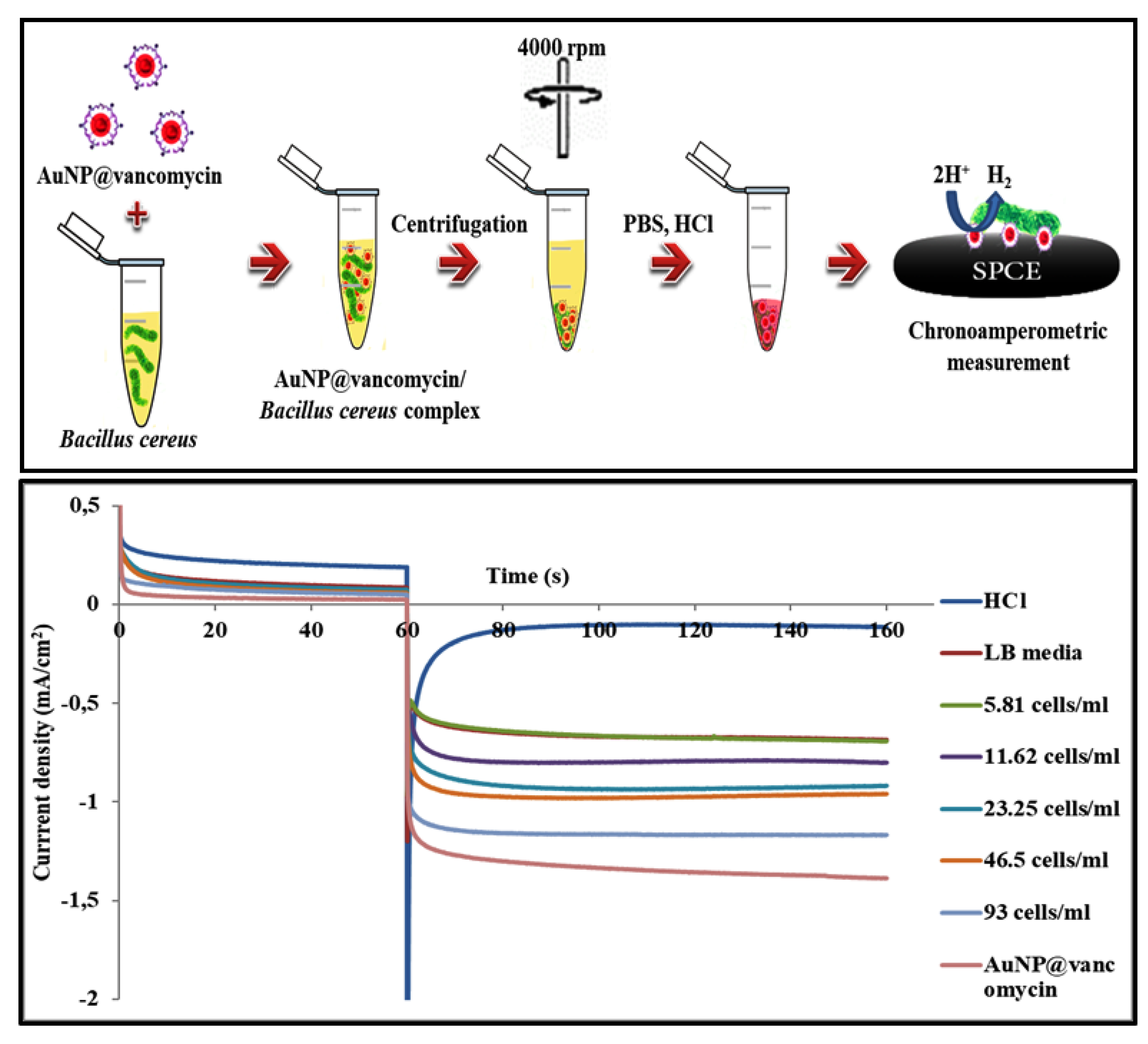 Biosensors 11 00205 g004