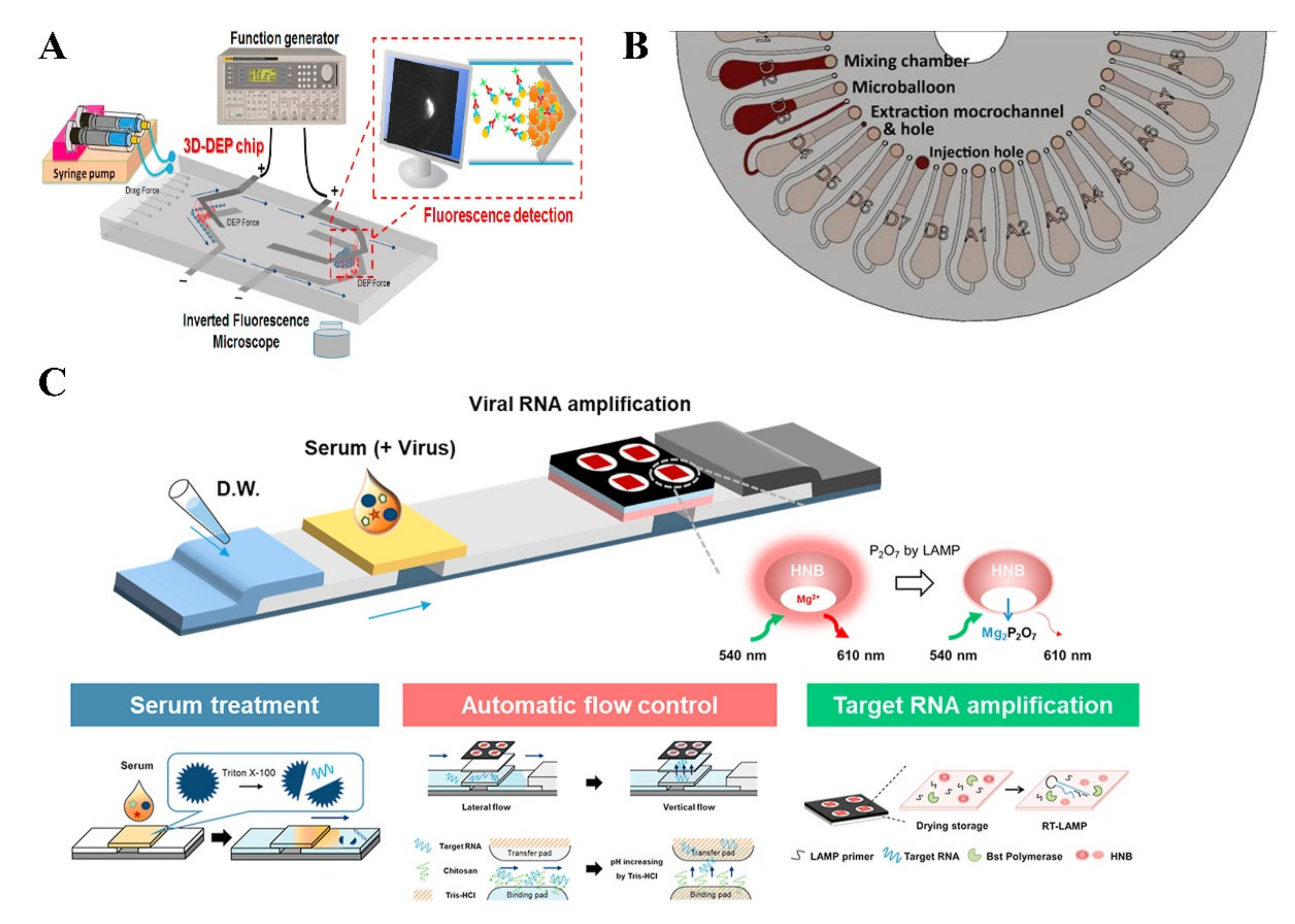 Biosensors Free Full Text Dengue Detection Advances In Diagnostic Tools From Conventional Technology To Point Of Care Html