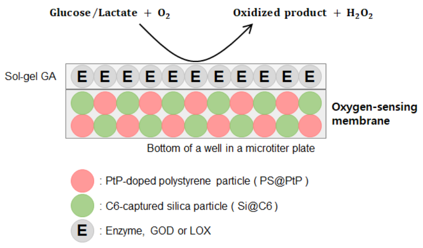 Biosensors 11 00208 sch001 550