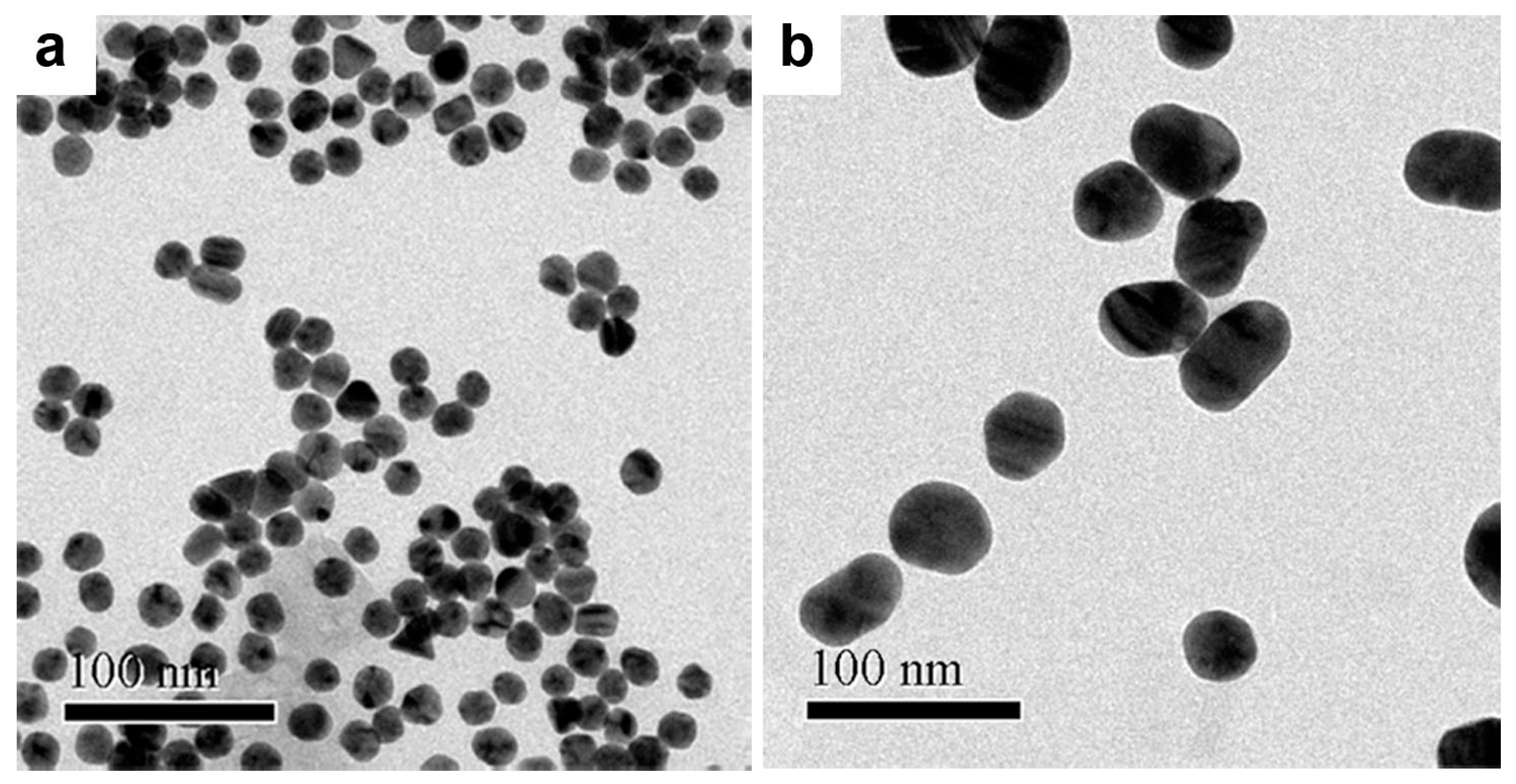 Biosensors 11 00209 g002