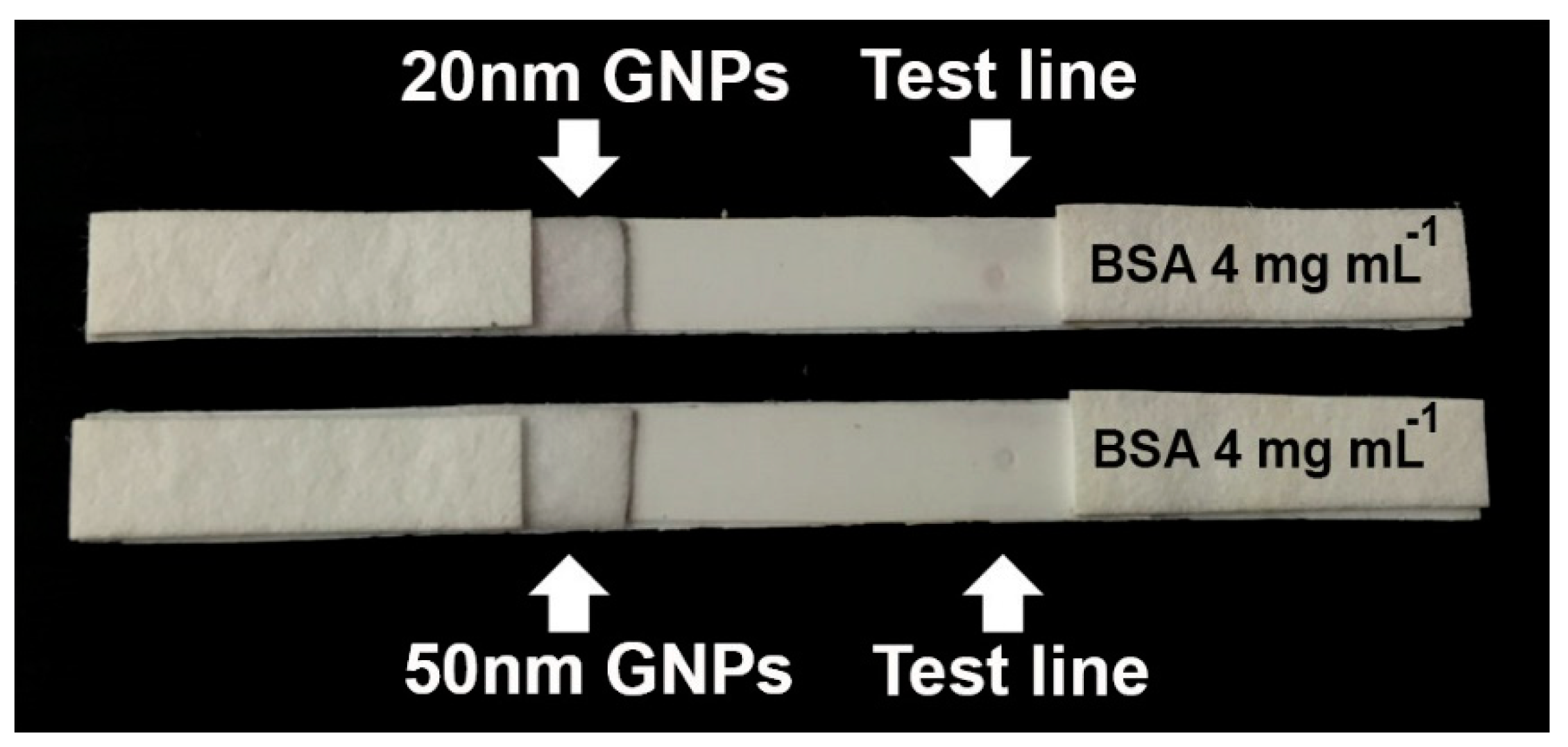 Biosensors 11 00209 g006
