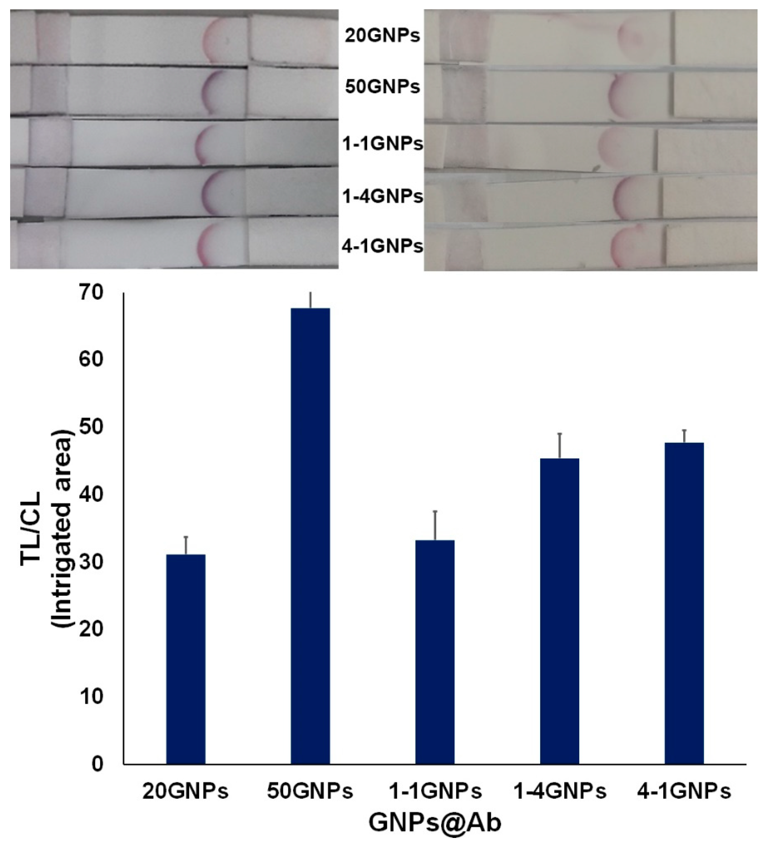 Biosensors 11 00209 g008