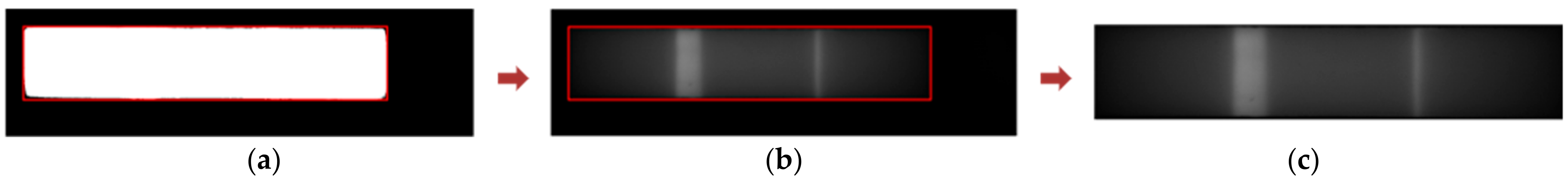 Biosensors 11 00211 g007 550