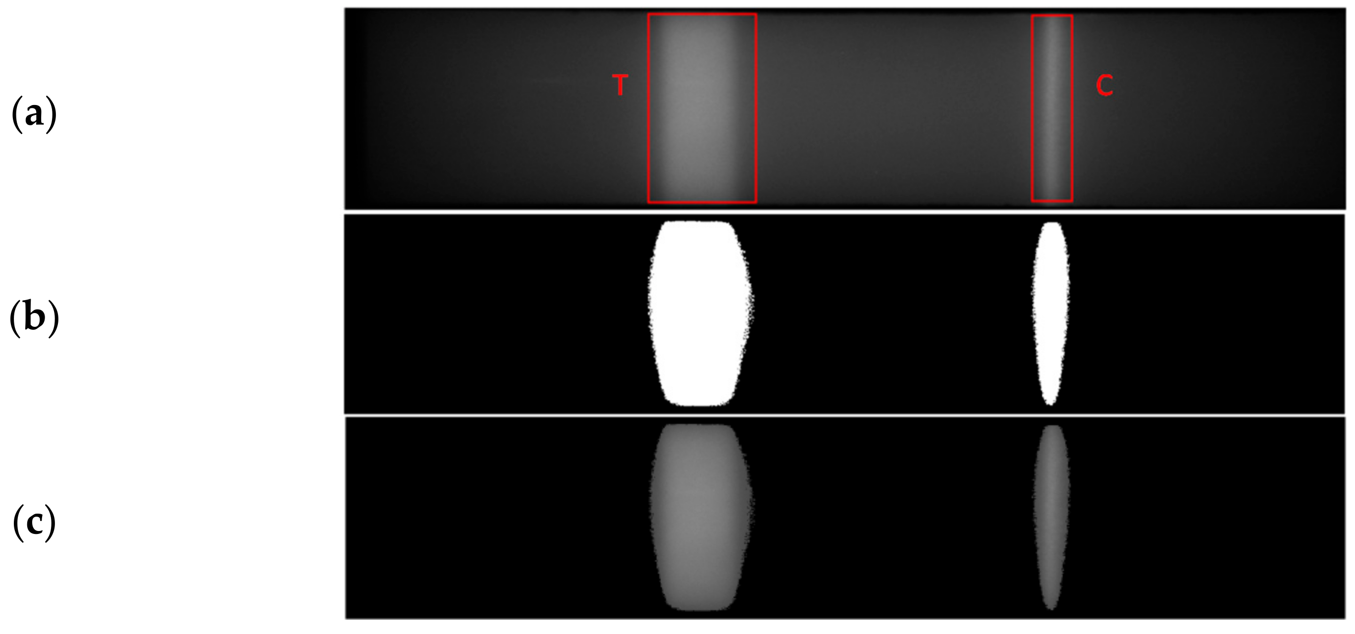 Biosensors 11 00211 g009 550