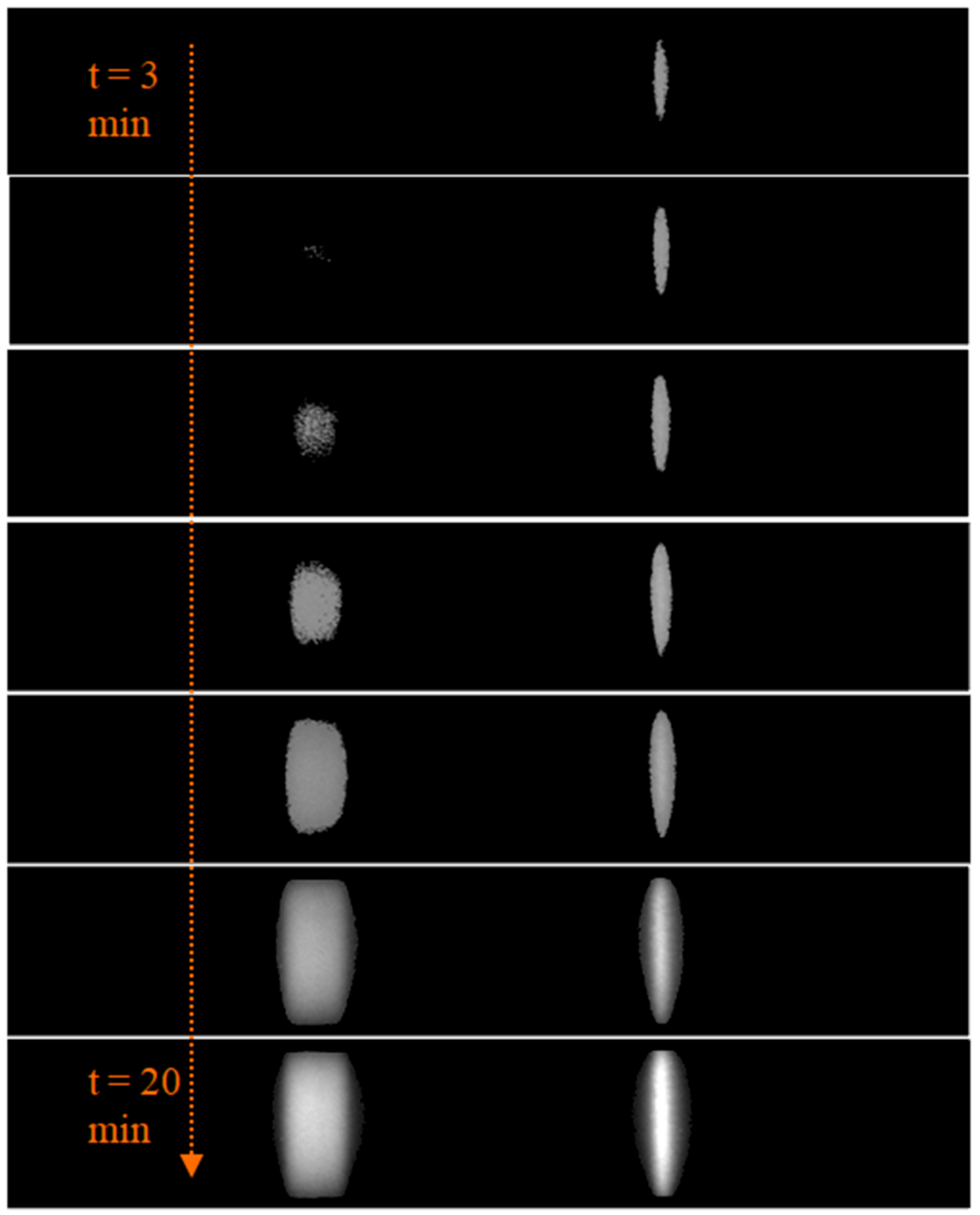 Biosensors 11 00211 g010 550