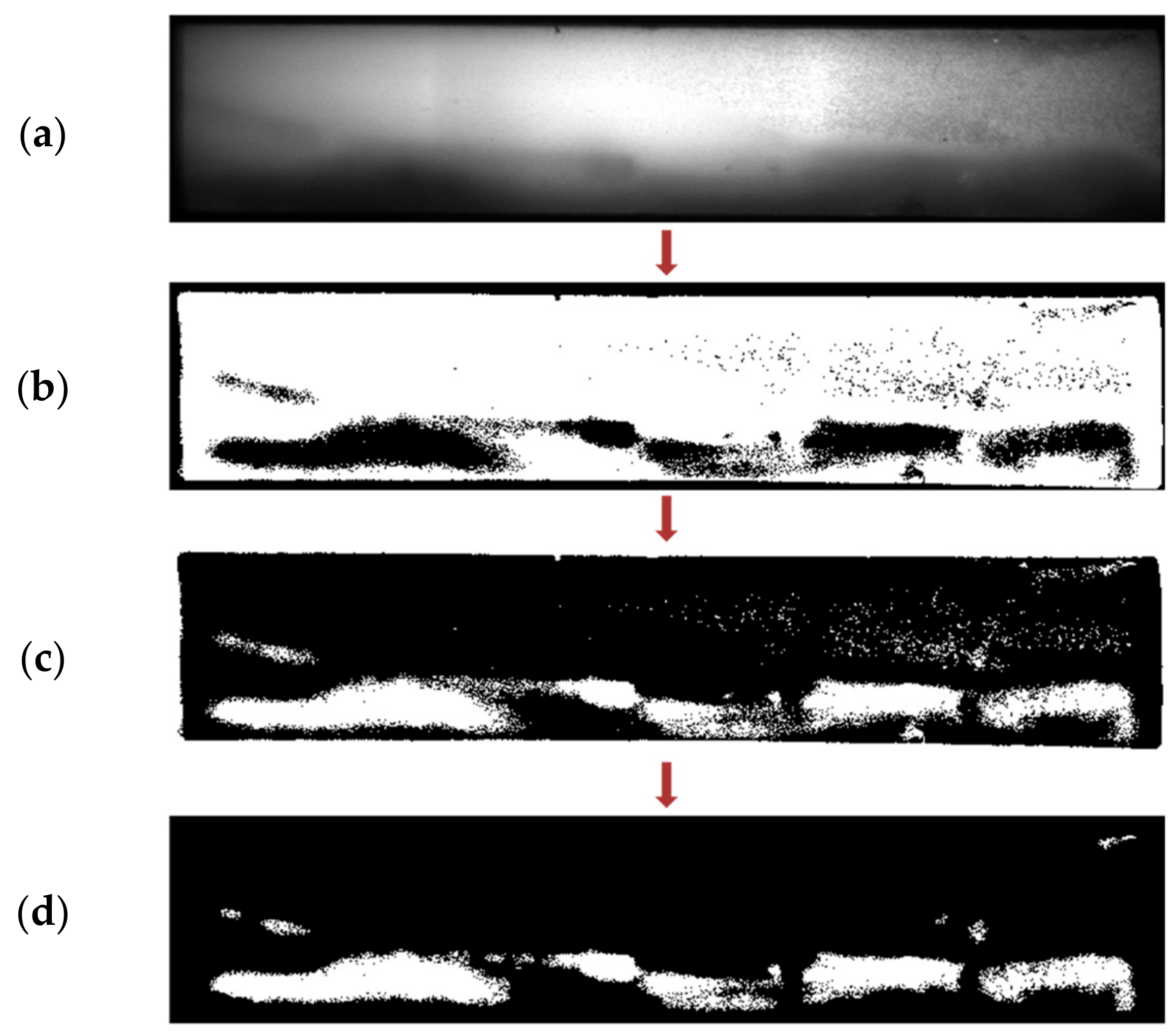 Biosensors 11 00211 g012 550