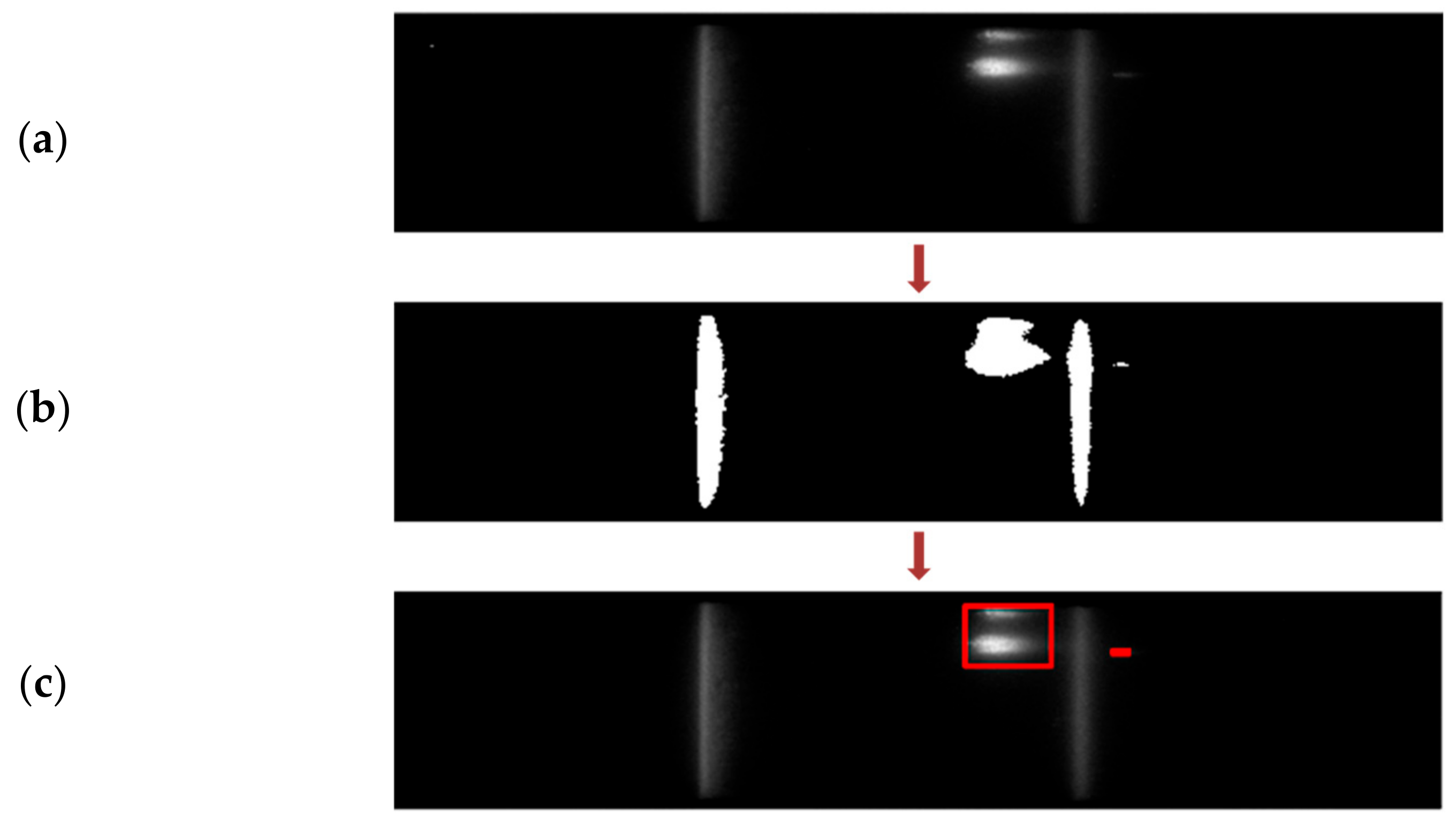 Biosensors 11 00211 g013 550