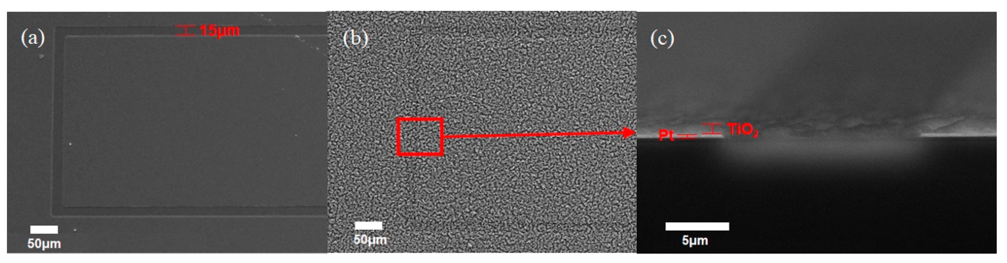 Biosensors 11 00212 g004 Biosensors 11 00212 g004