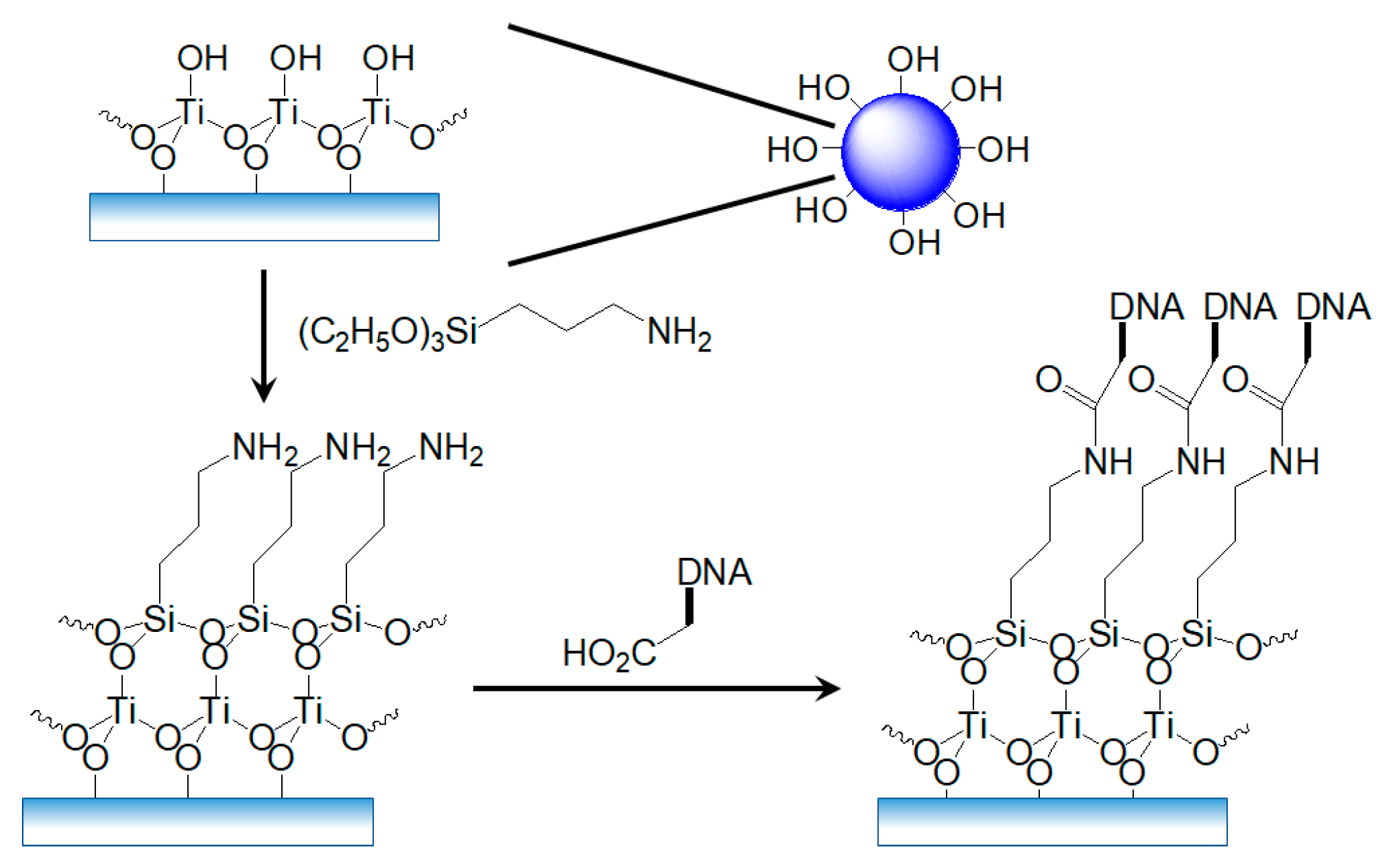 Biosensors 11 00212 sch001 Biosensors 11 00212 sch001