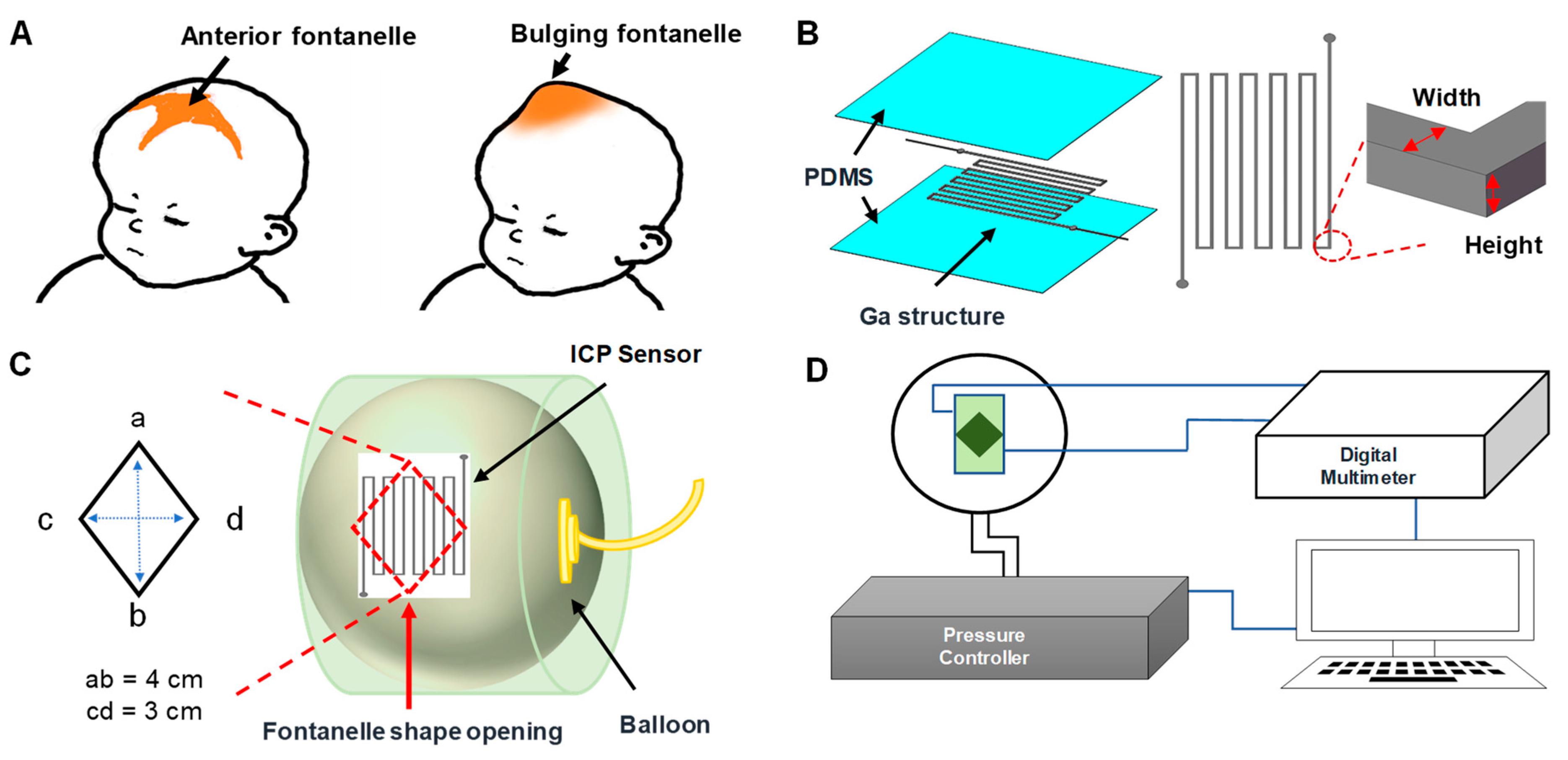 Biosensors 11 00213 g001 Biosensors 11 00213 g001
