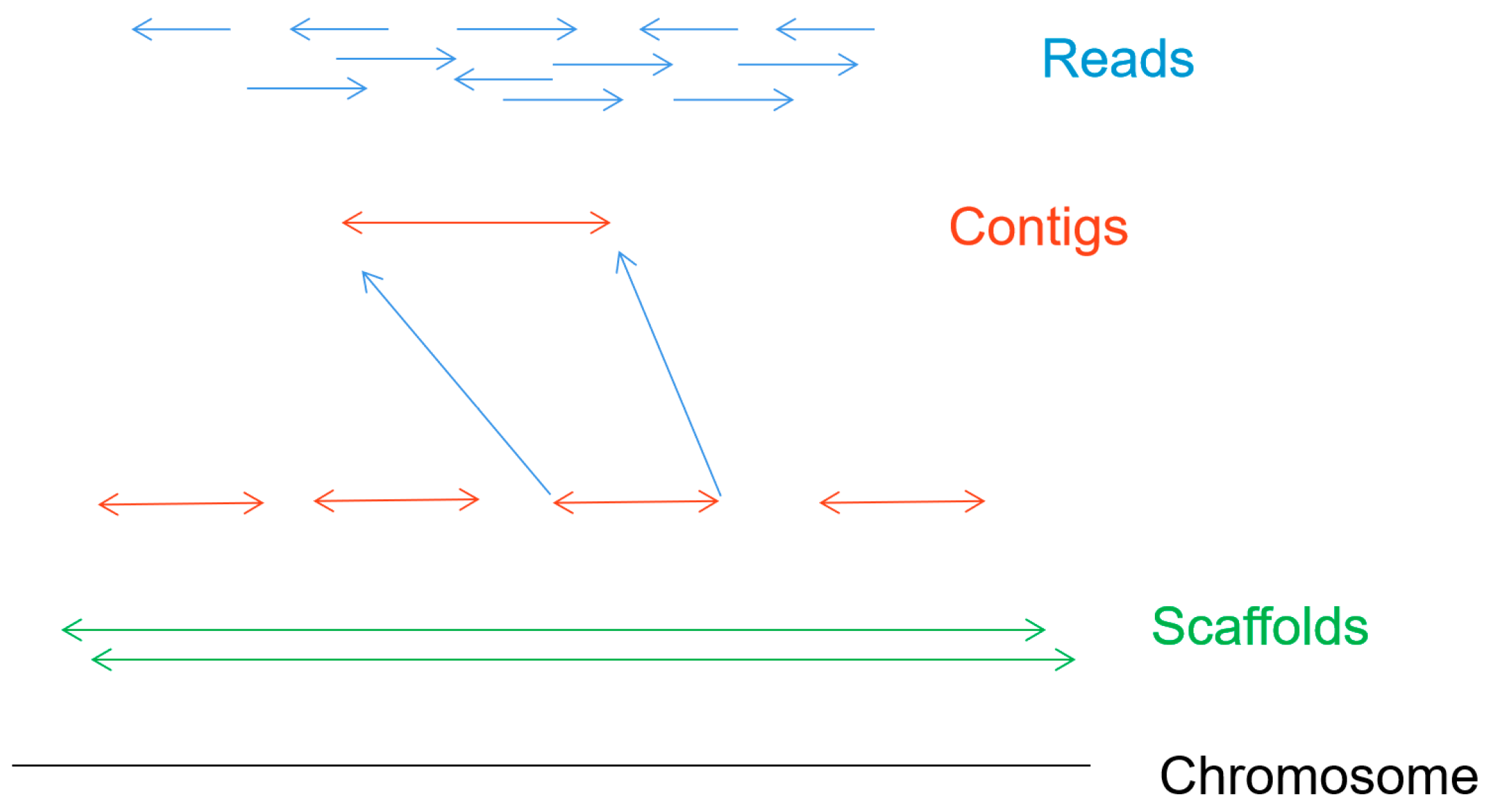 Biosensors 11 00214 g006