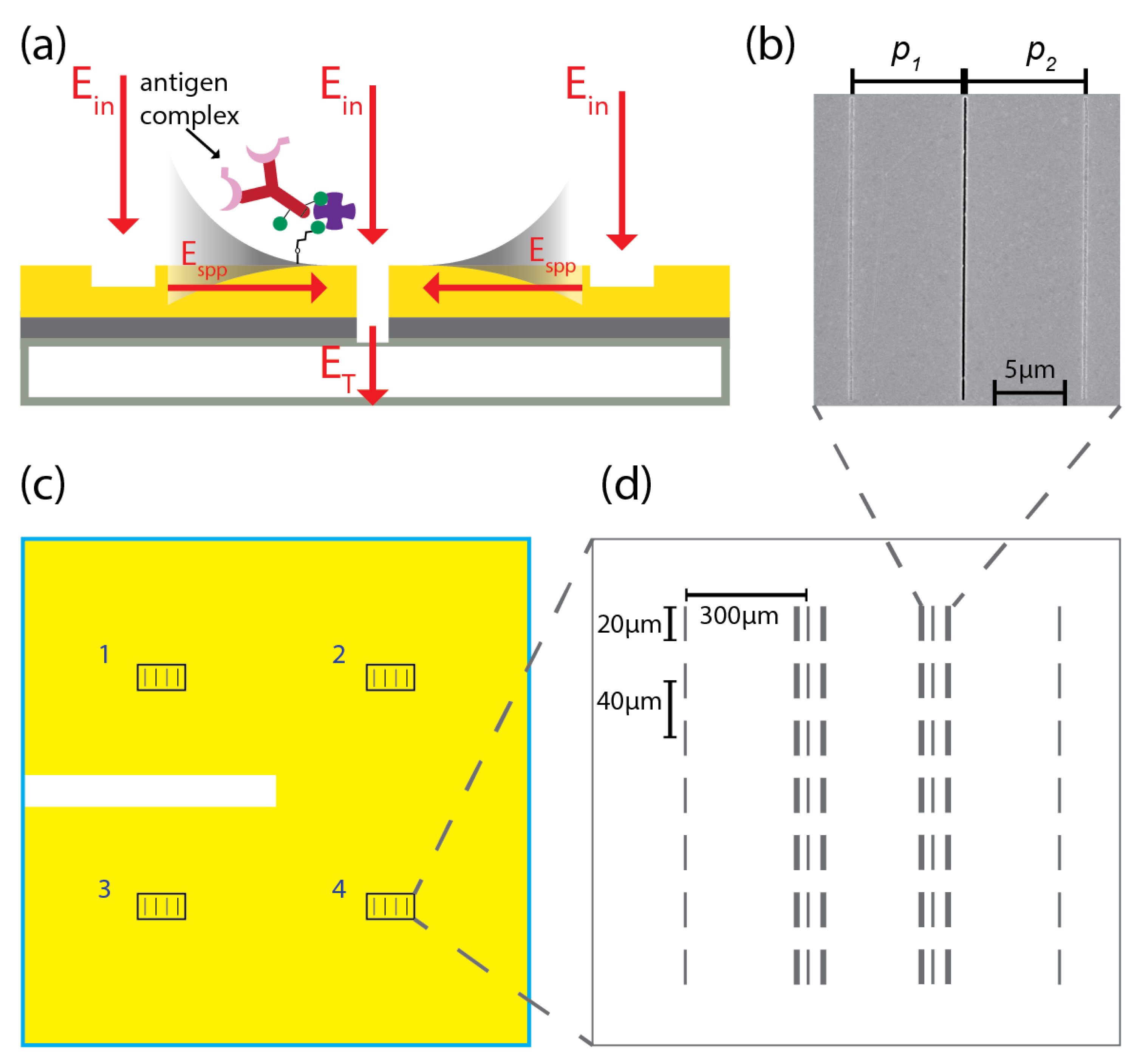 Biosensors 11 00217 g001 550