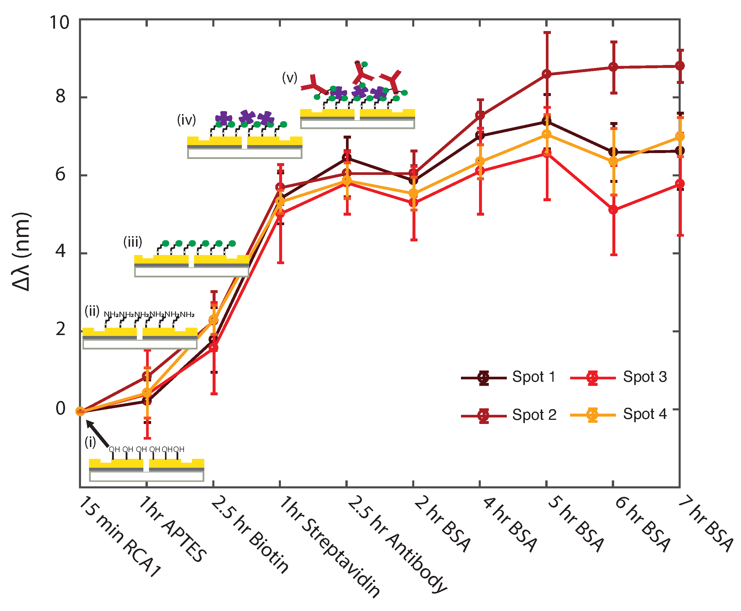 Biosensors 11 00217 g004 550