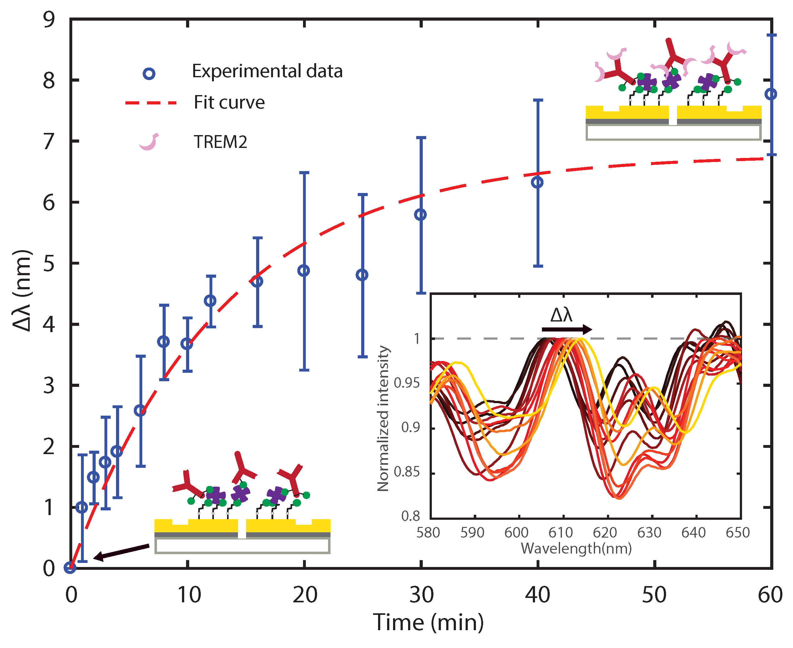 Biosensors 11 00217 g005 550