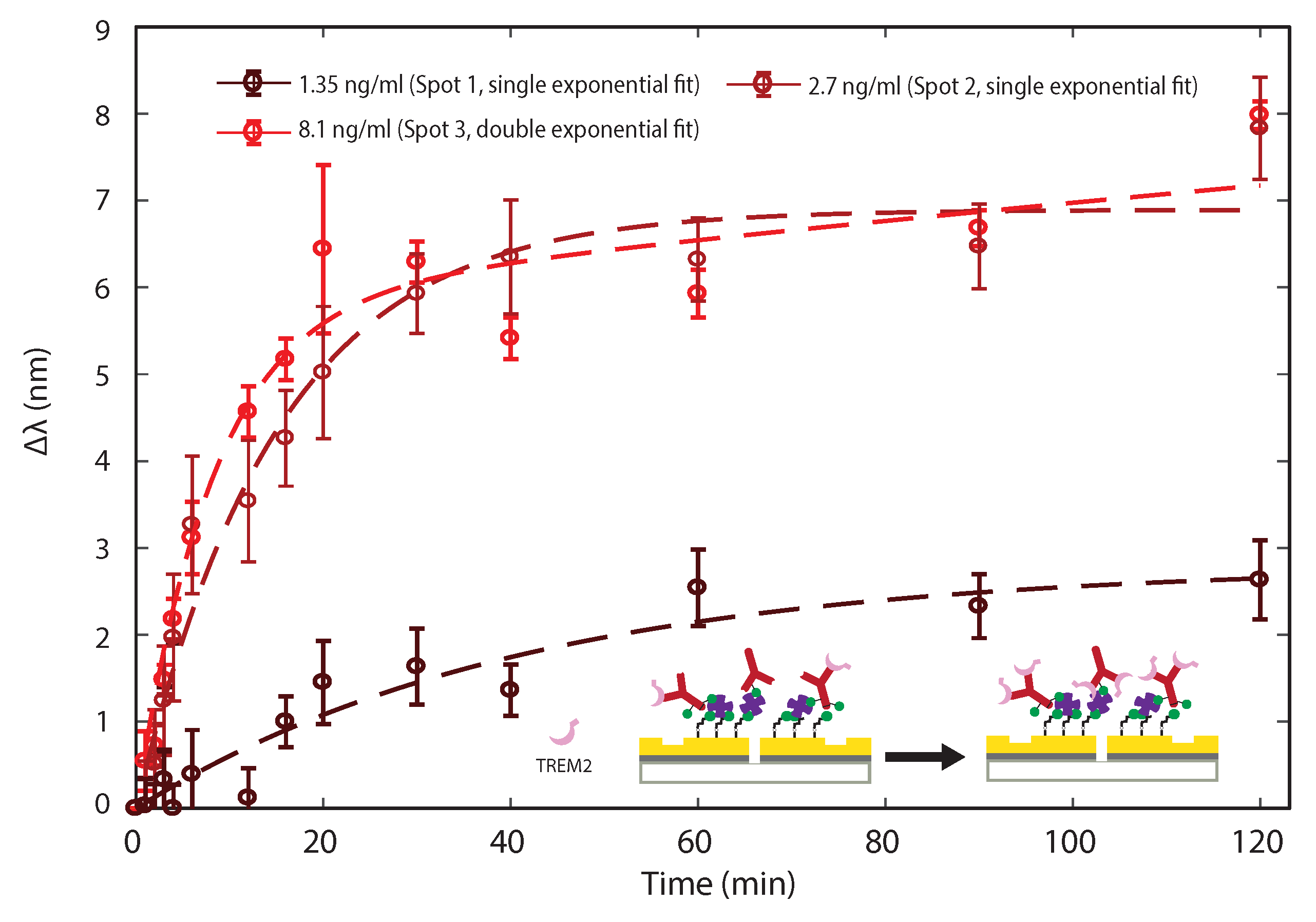 Biosensors 11 00217 g006 550