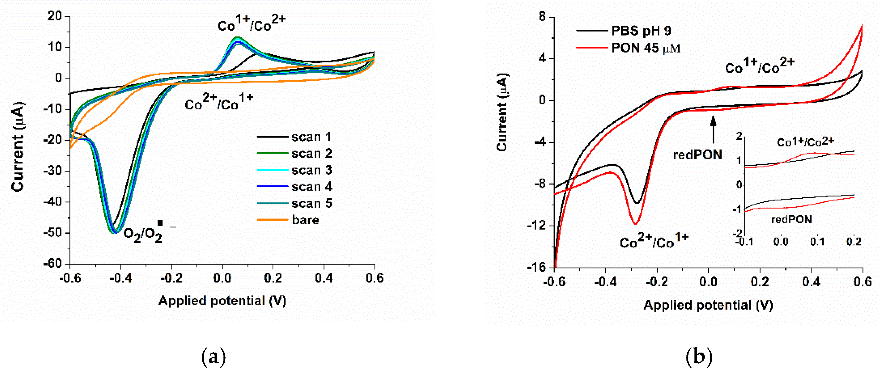 Biosensors 11 00220 g003 Biosensors 11 00220 g003