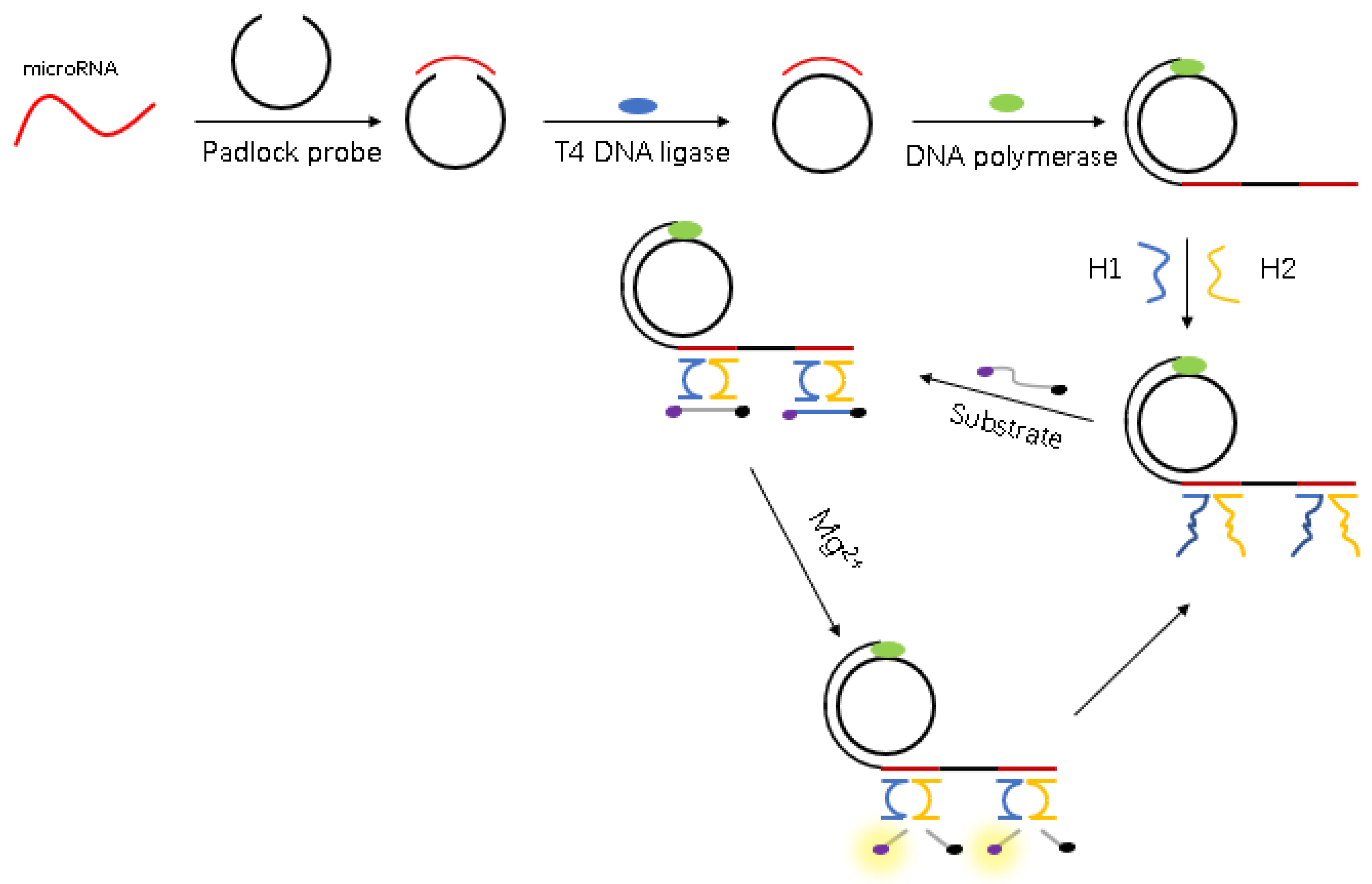 Biosensors 11 00222 g001 550
