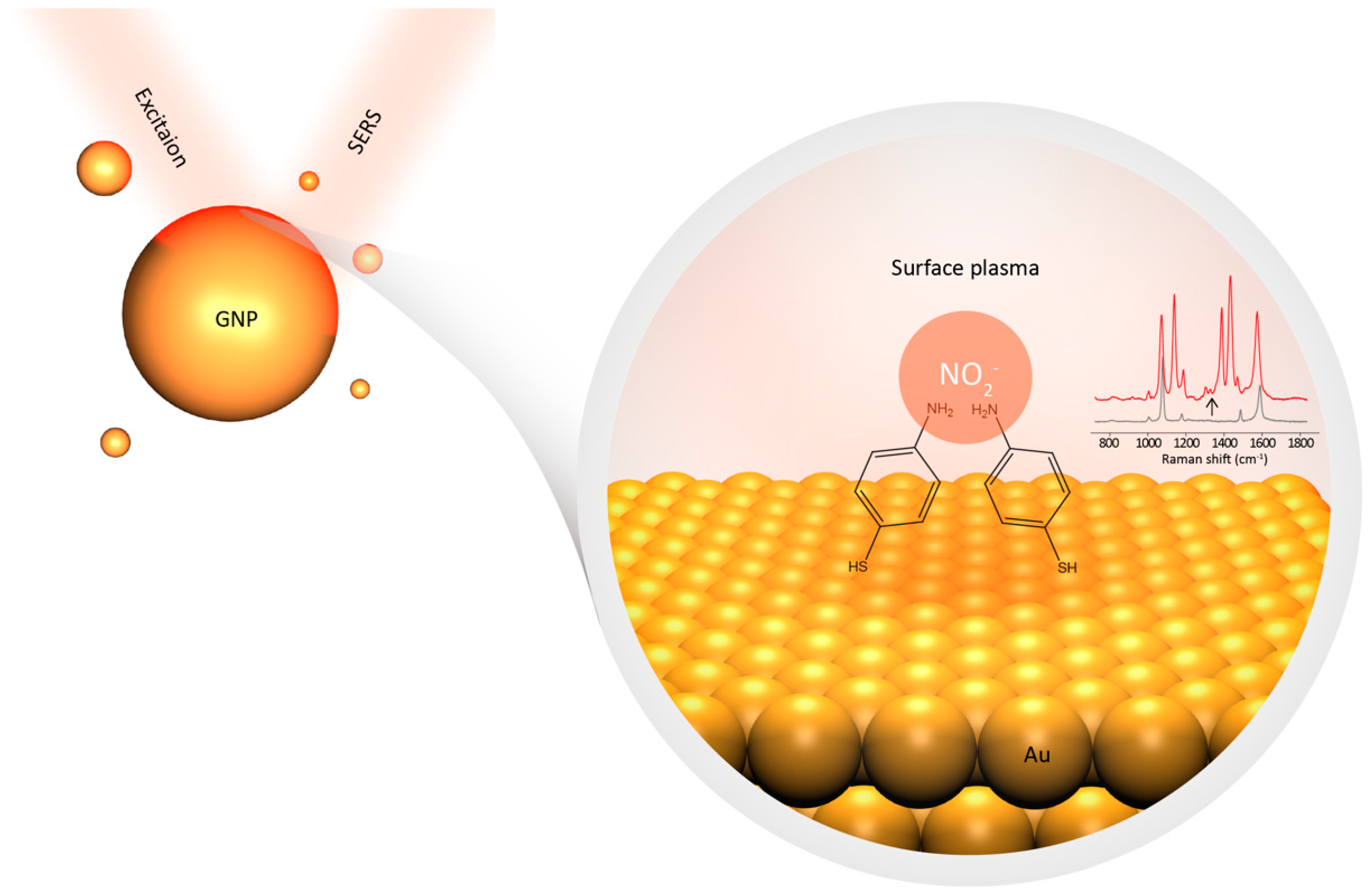 Biosensors 11 00223 g001 550