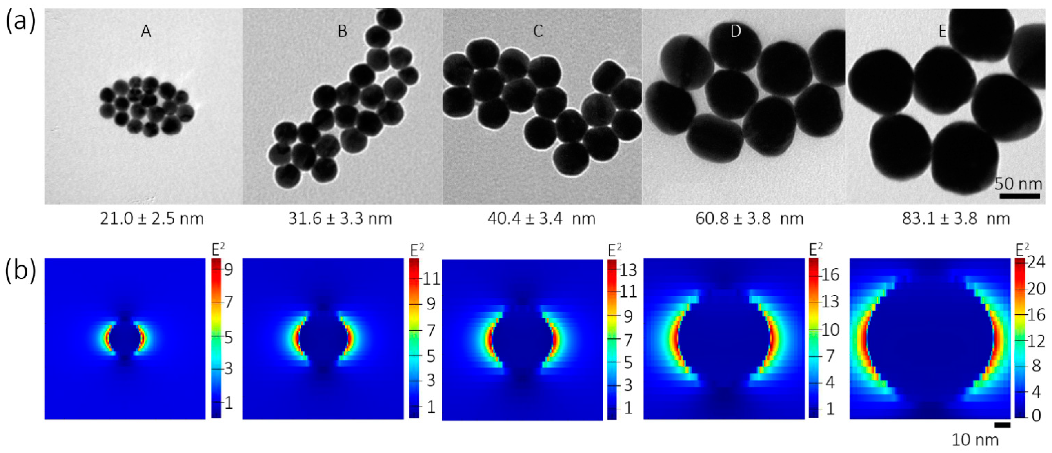 Biosensors 11 00223 g002a 550