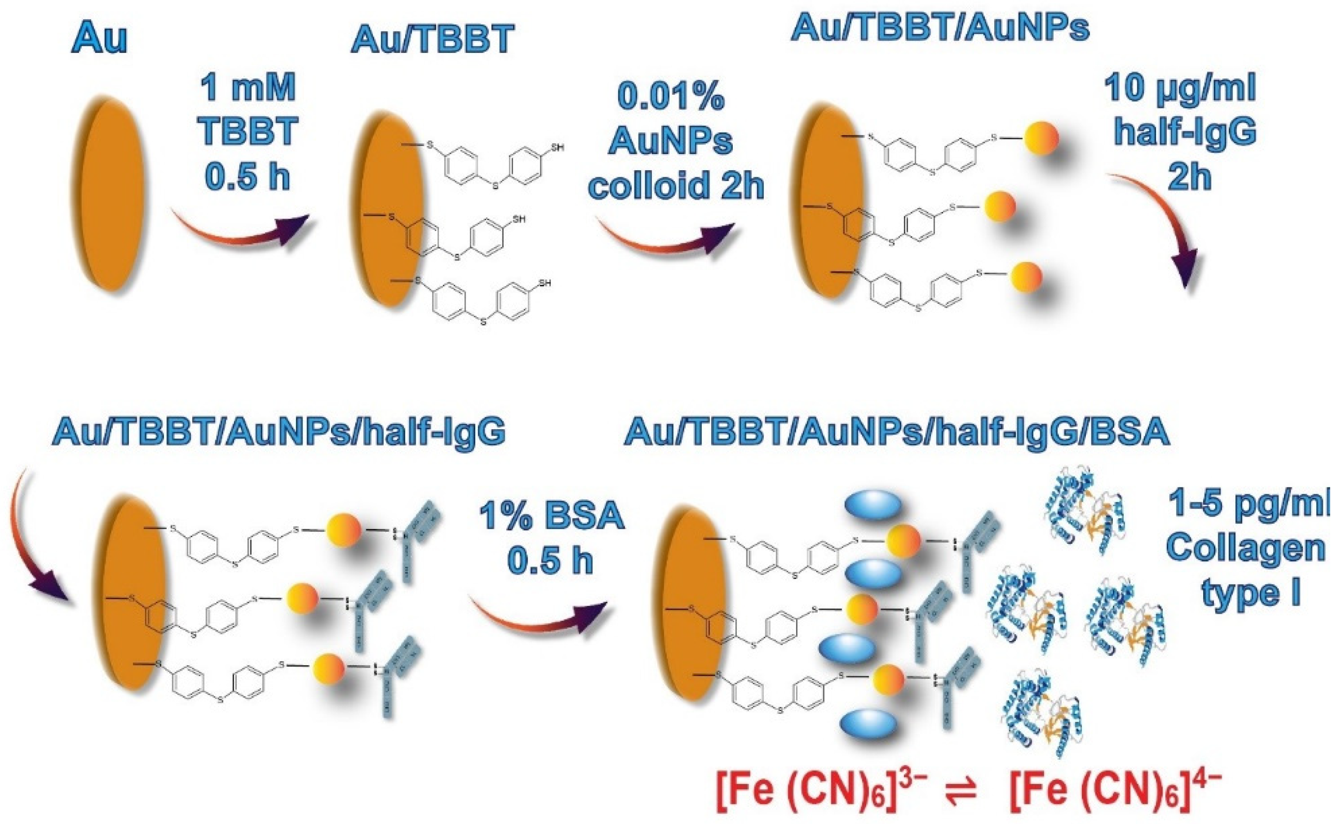 Biosensors 11 00227 g002 Biosensors 11 00227 g002