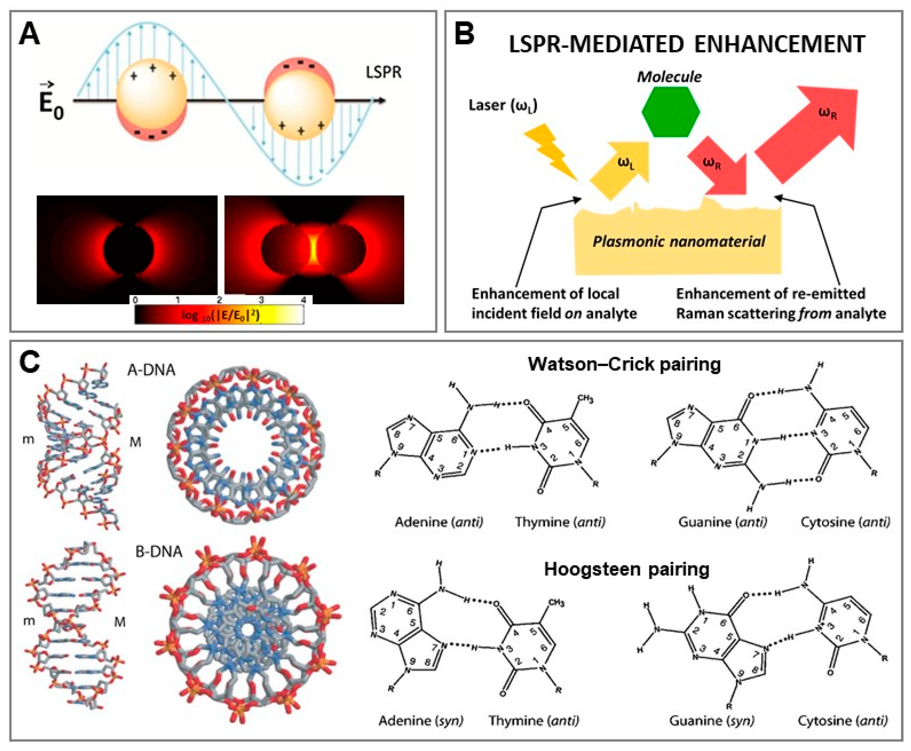 Biosensors 11 00230 g001 550