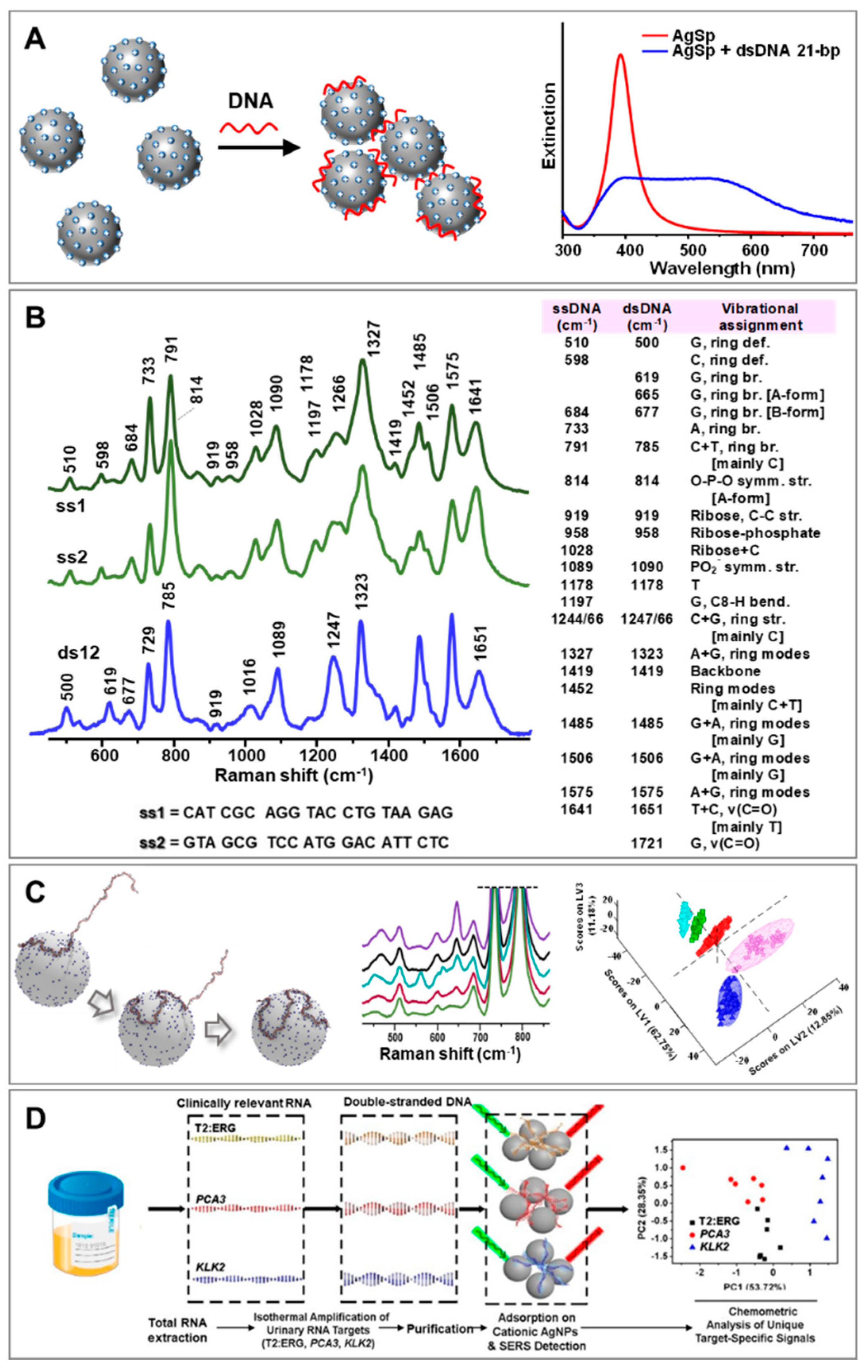 Biosensors 11 00230 g002 550