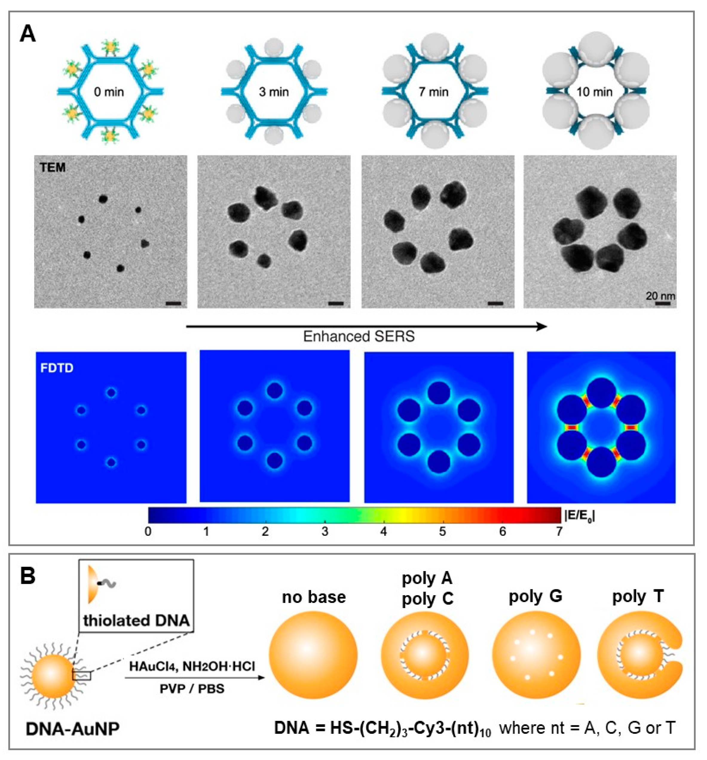Biosensors 11 00230 g005 550