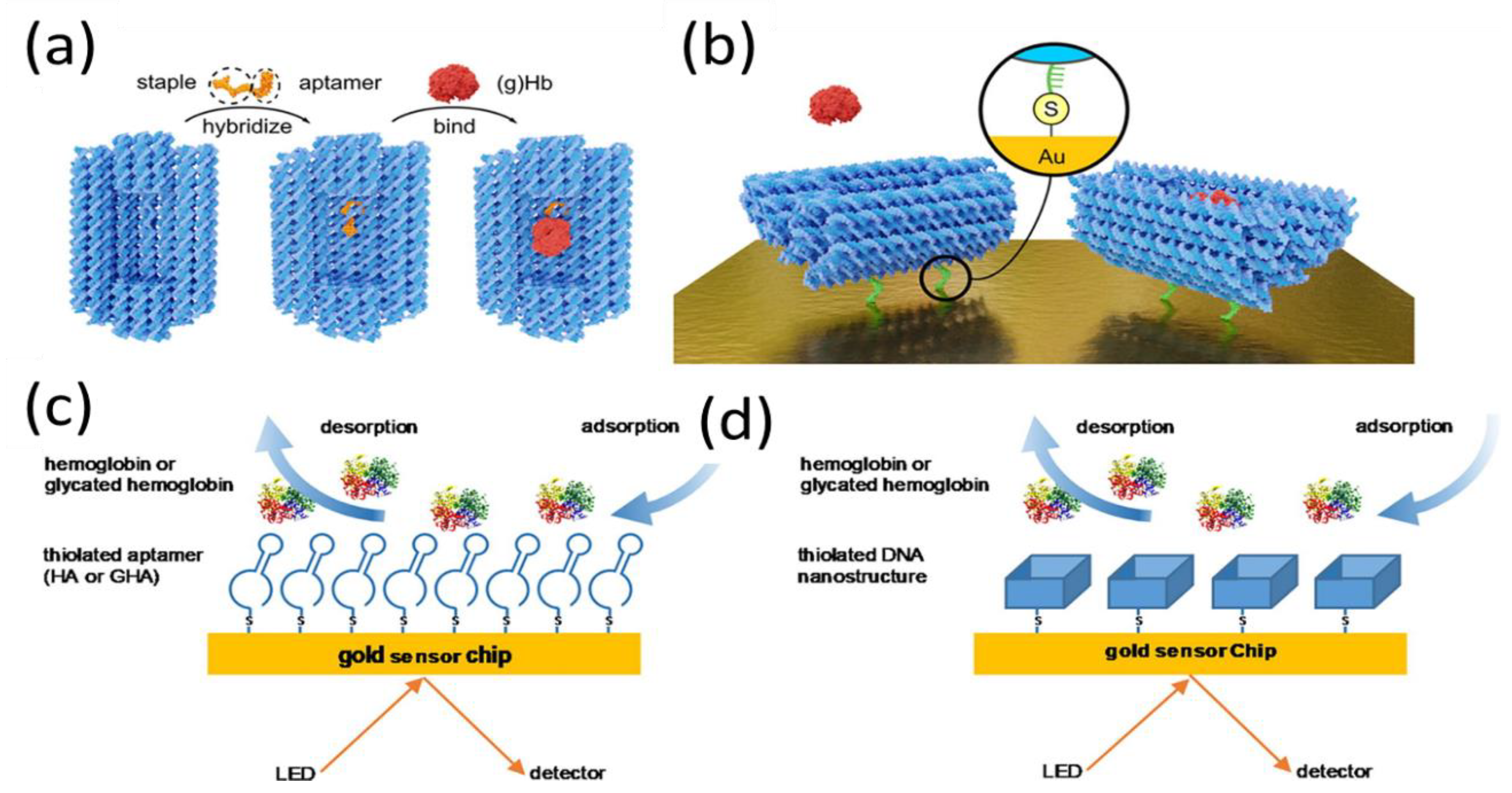 Biosensors 11 00233 g002