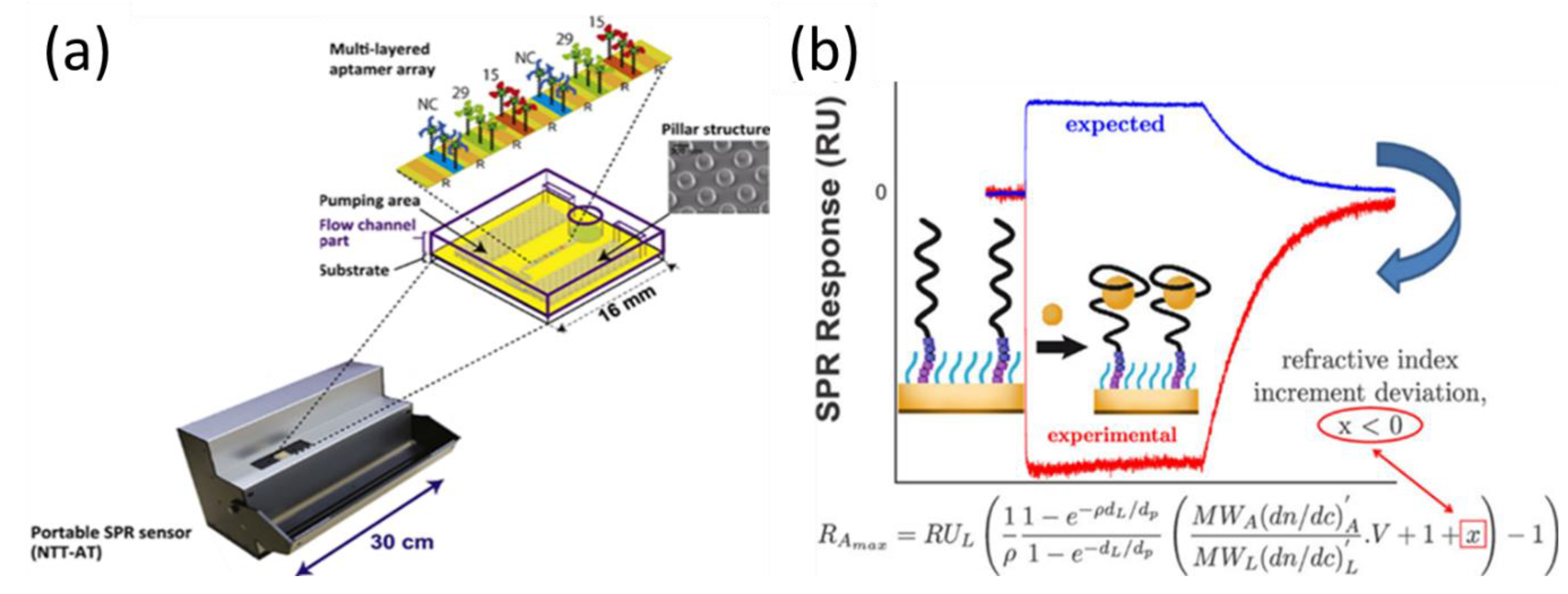 Biosensors 11 00233 g003