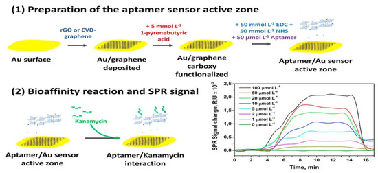Recent Advancements in Aptamer-Based Surface Plasmon Resonance ...