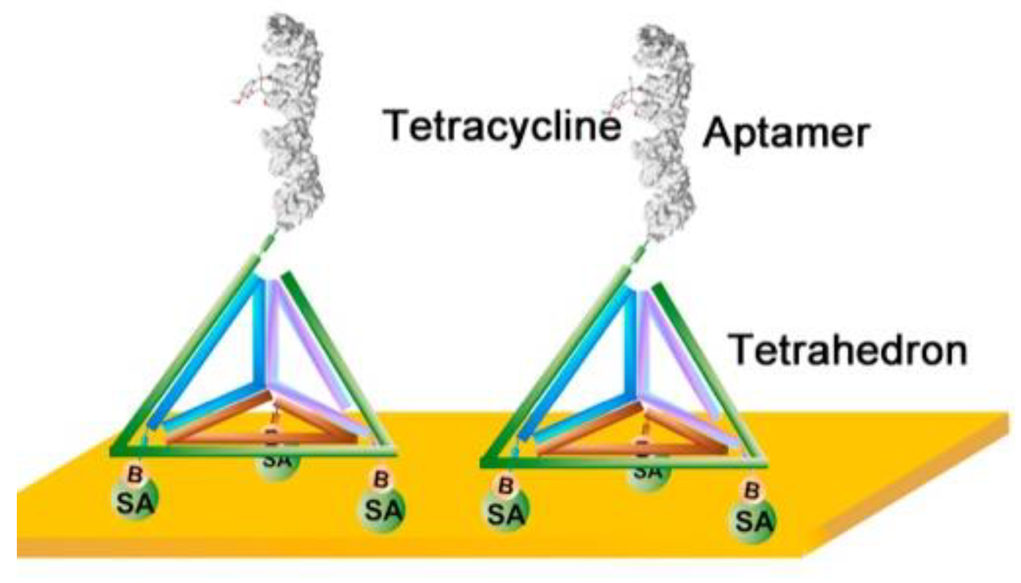 Biosensors 11 00233 g006
