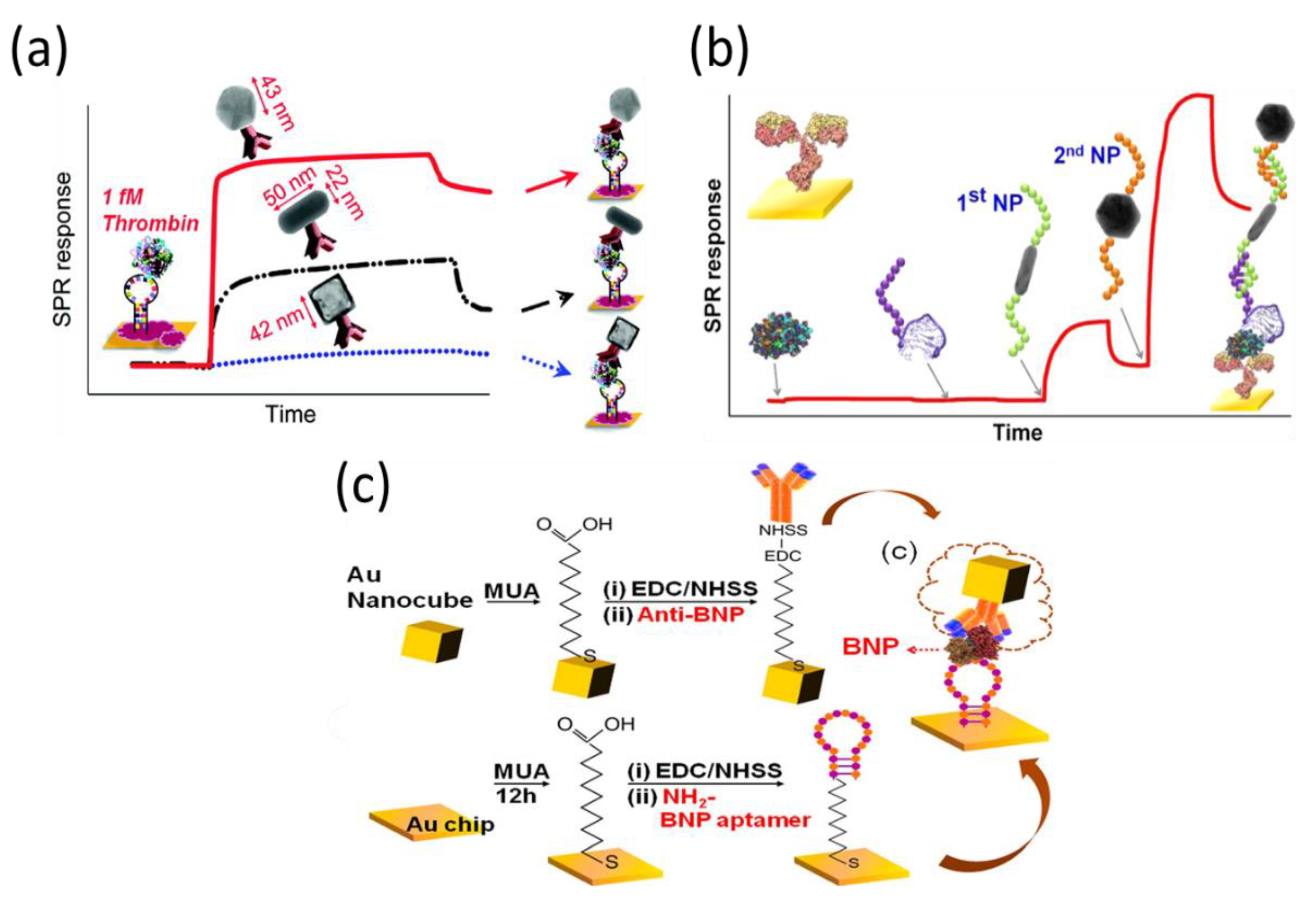 Biosensors 11 00233 g008