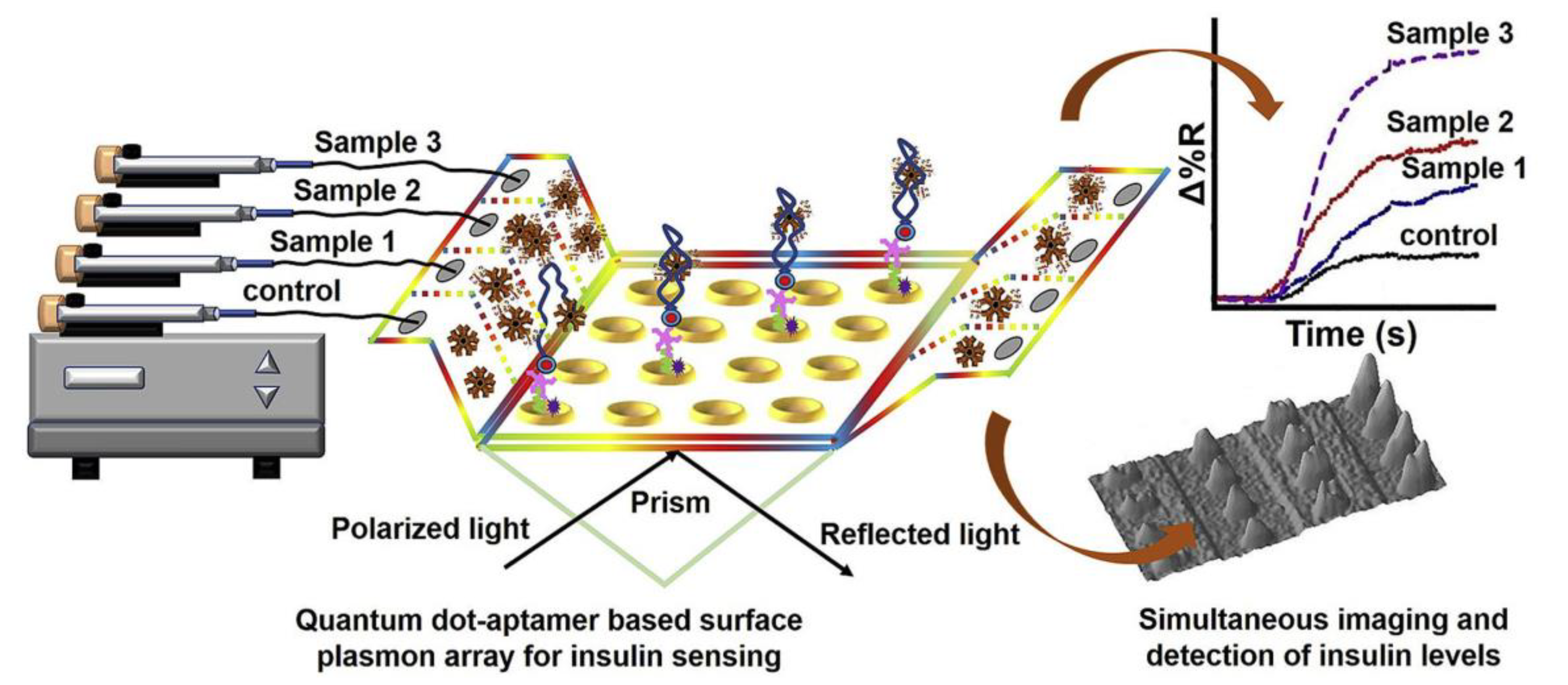 Biosensors 11 00233 g009