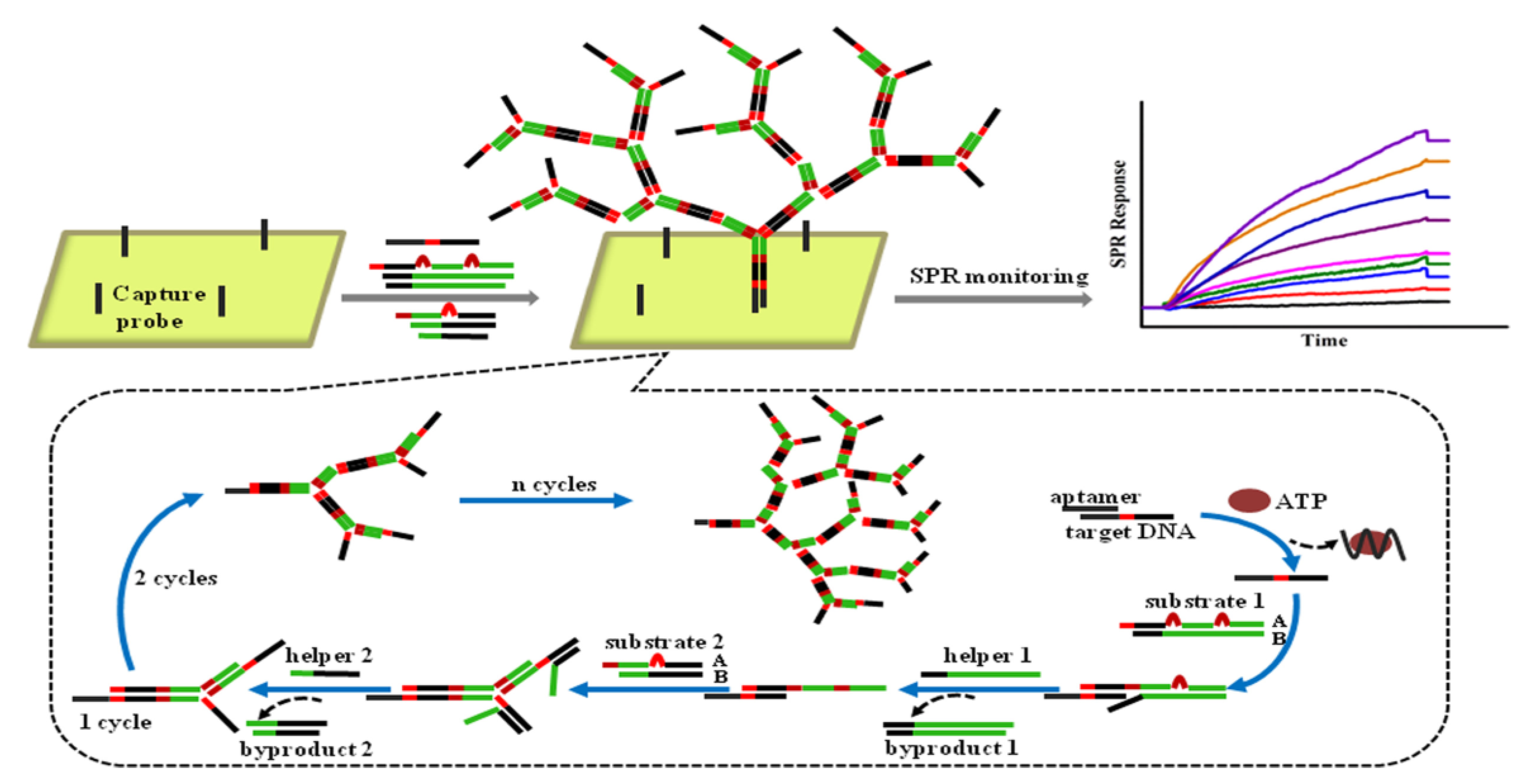 Biosensors 11 00233 g012