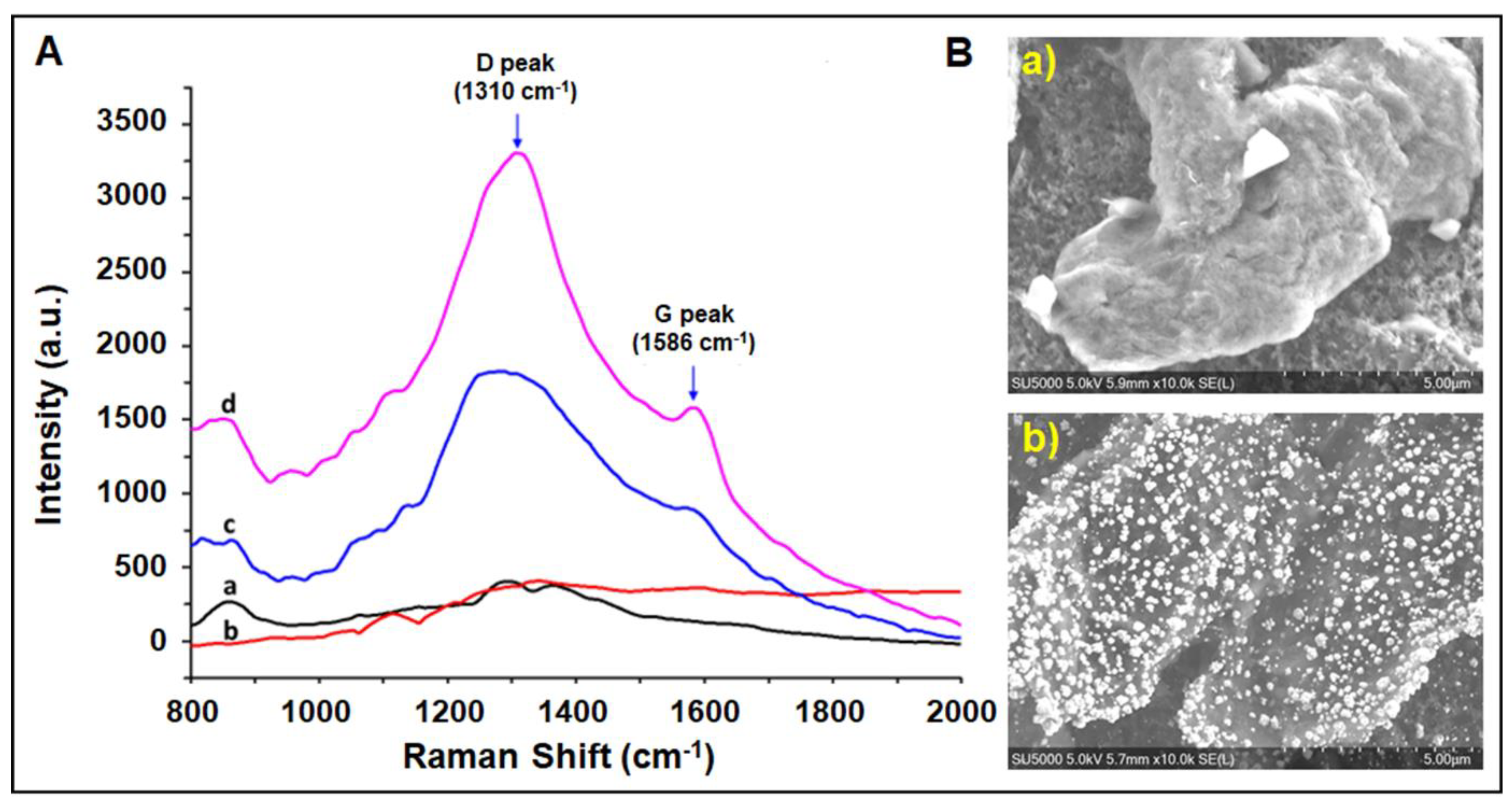 Biosensors 11 00236 g001 550