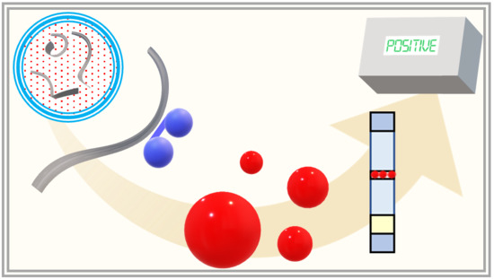 Biosensors Free Full Text Gold Oligonucleotide Nanoconstructs Engineered To Detect Conserved Enteroviral Nucleic Acid Sequences Html