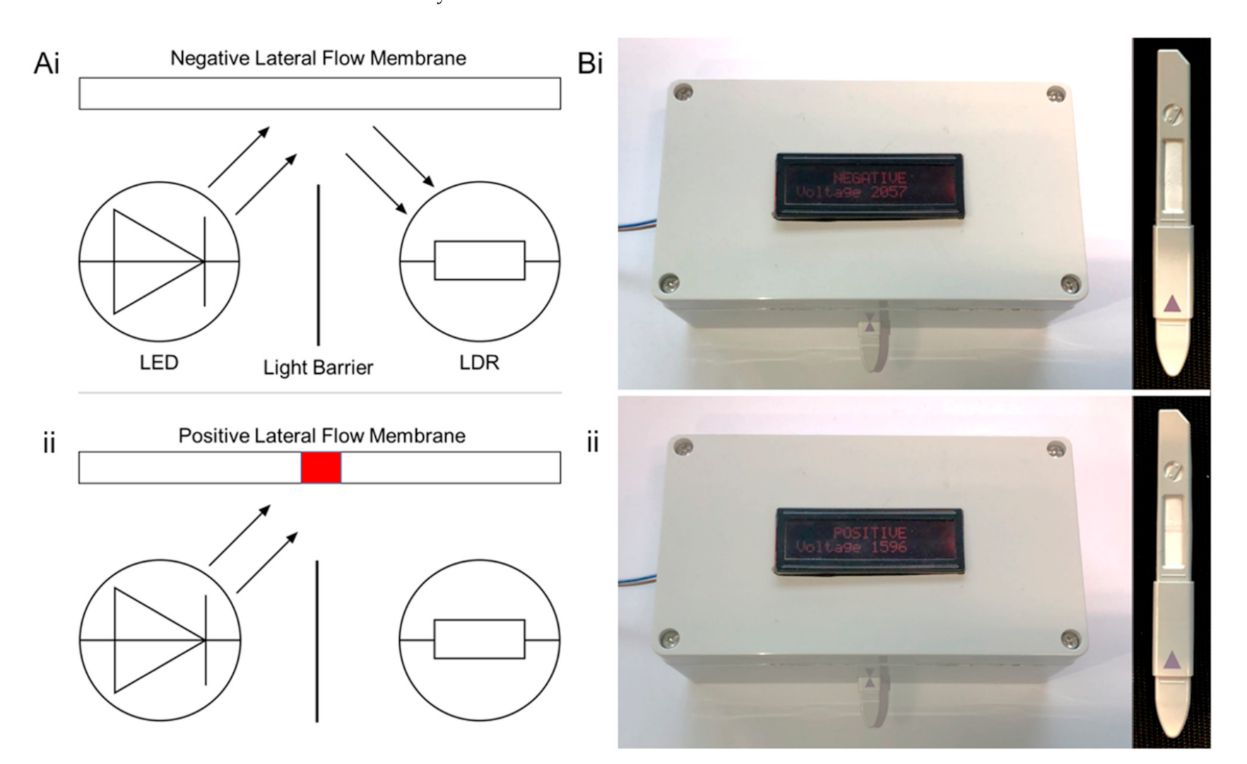 Biosensors 11 00238 g004