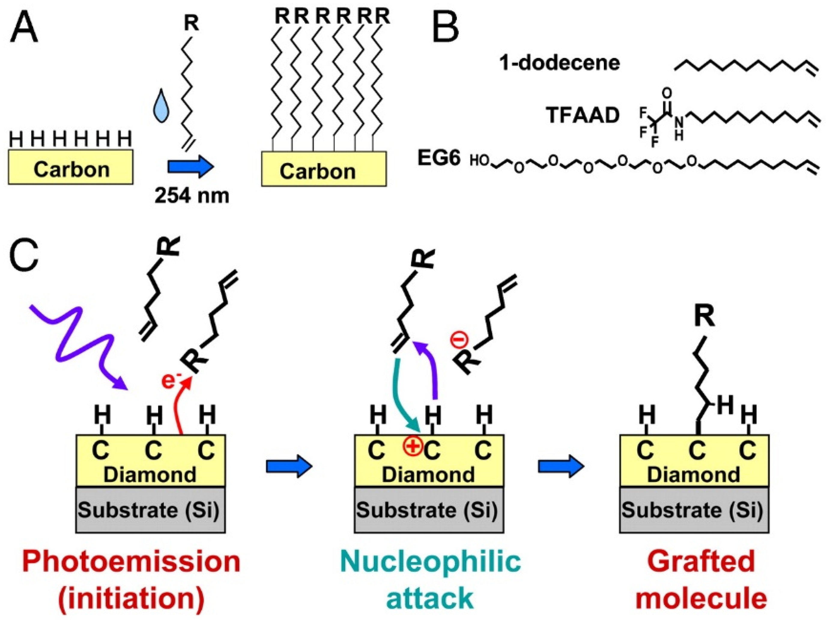 Biosensors 11 00239 sch001 550