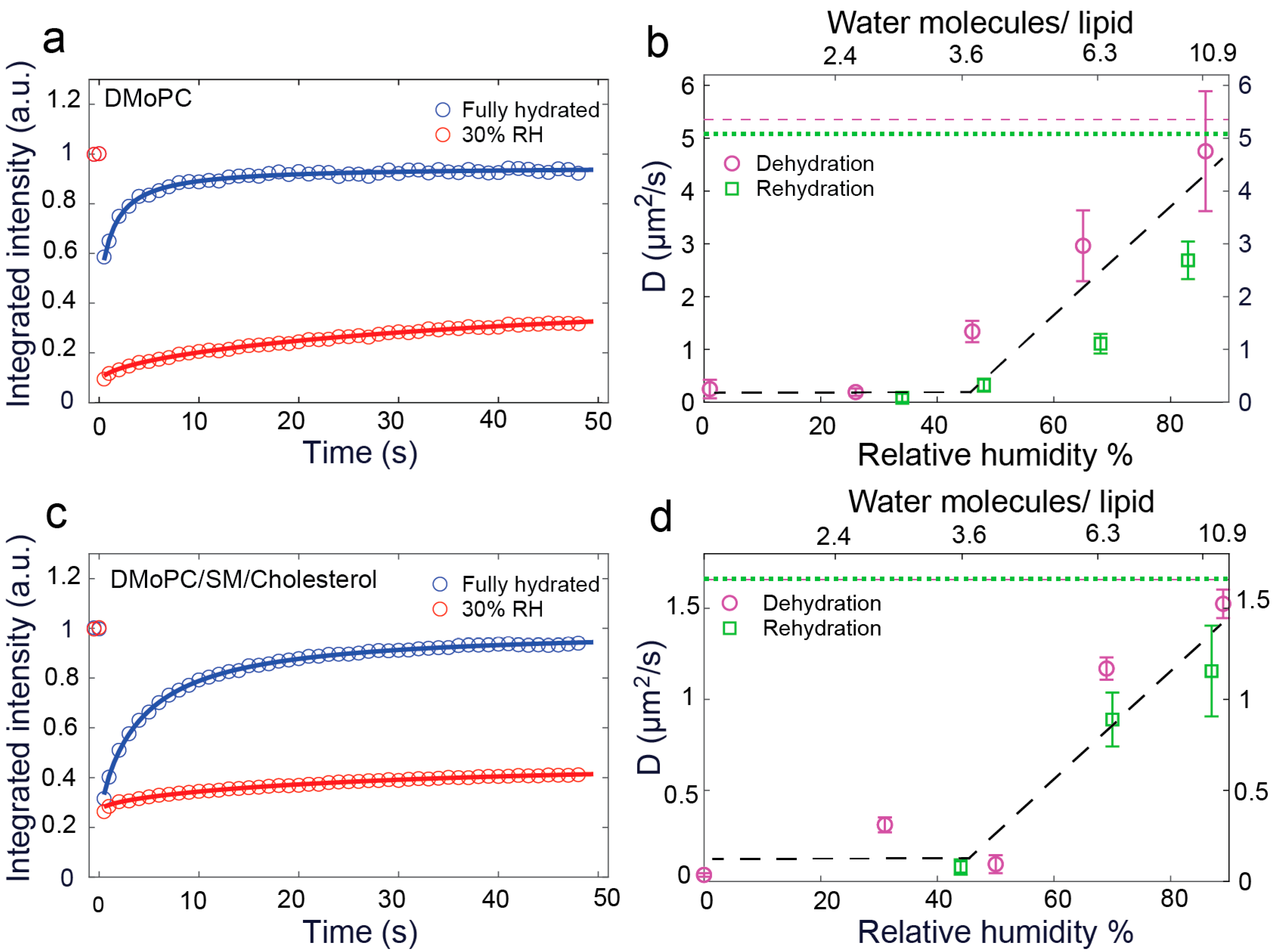 Biosensors 11 00241 g002 Biosensors 11 00241 g002