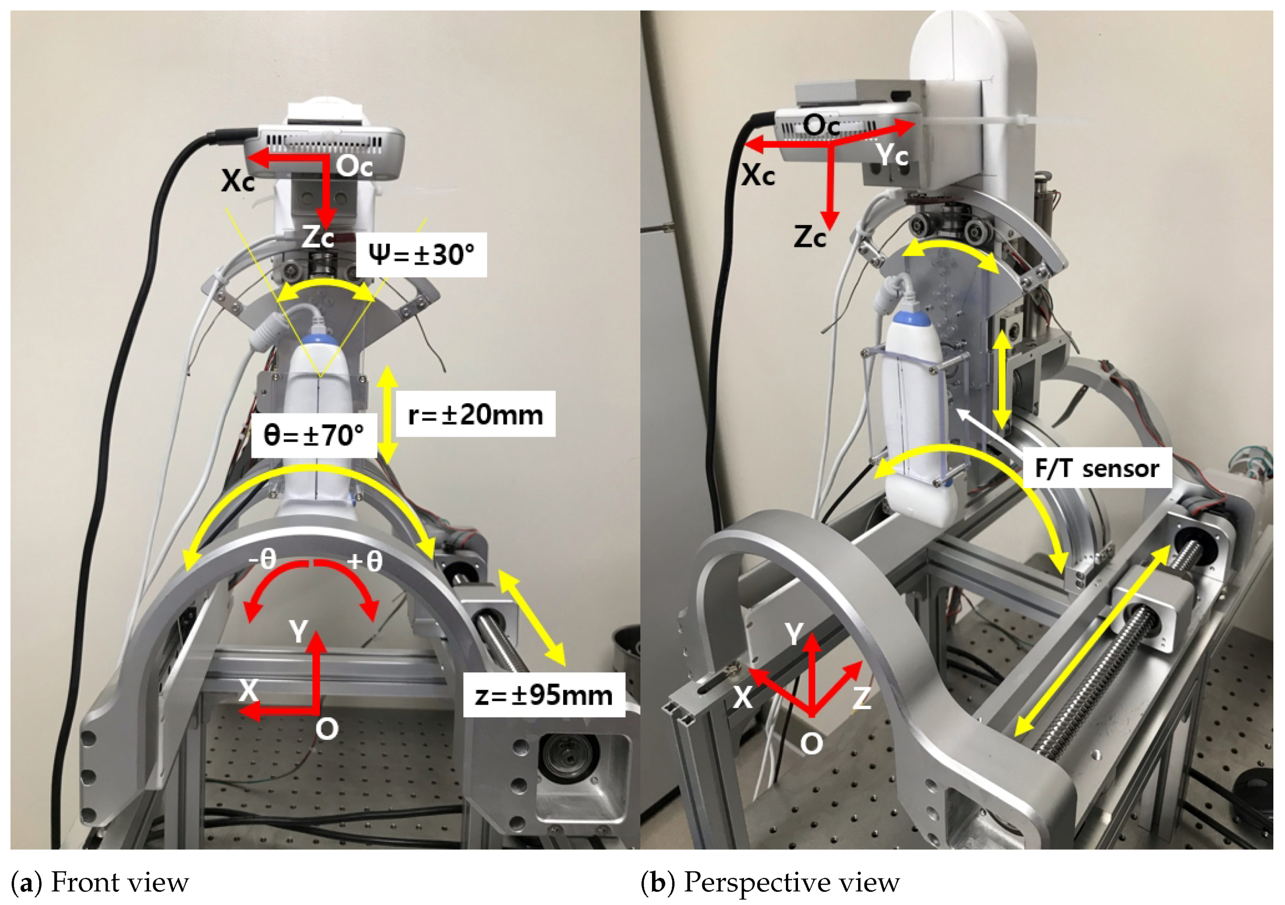 Biosensors 11 00243 g001 550