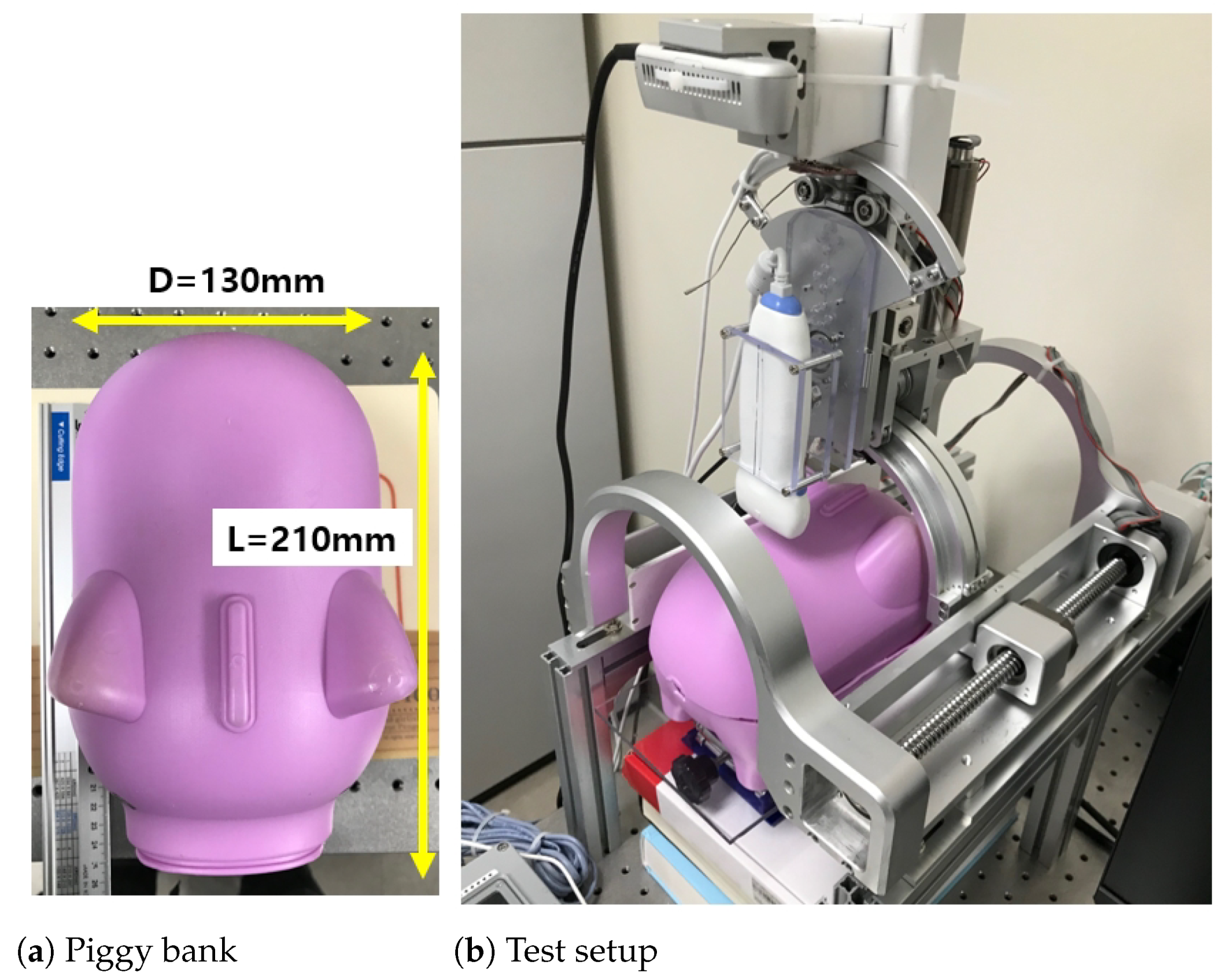 Biosensors 11 00243 g005 550