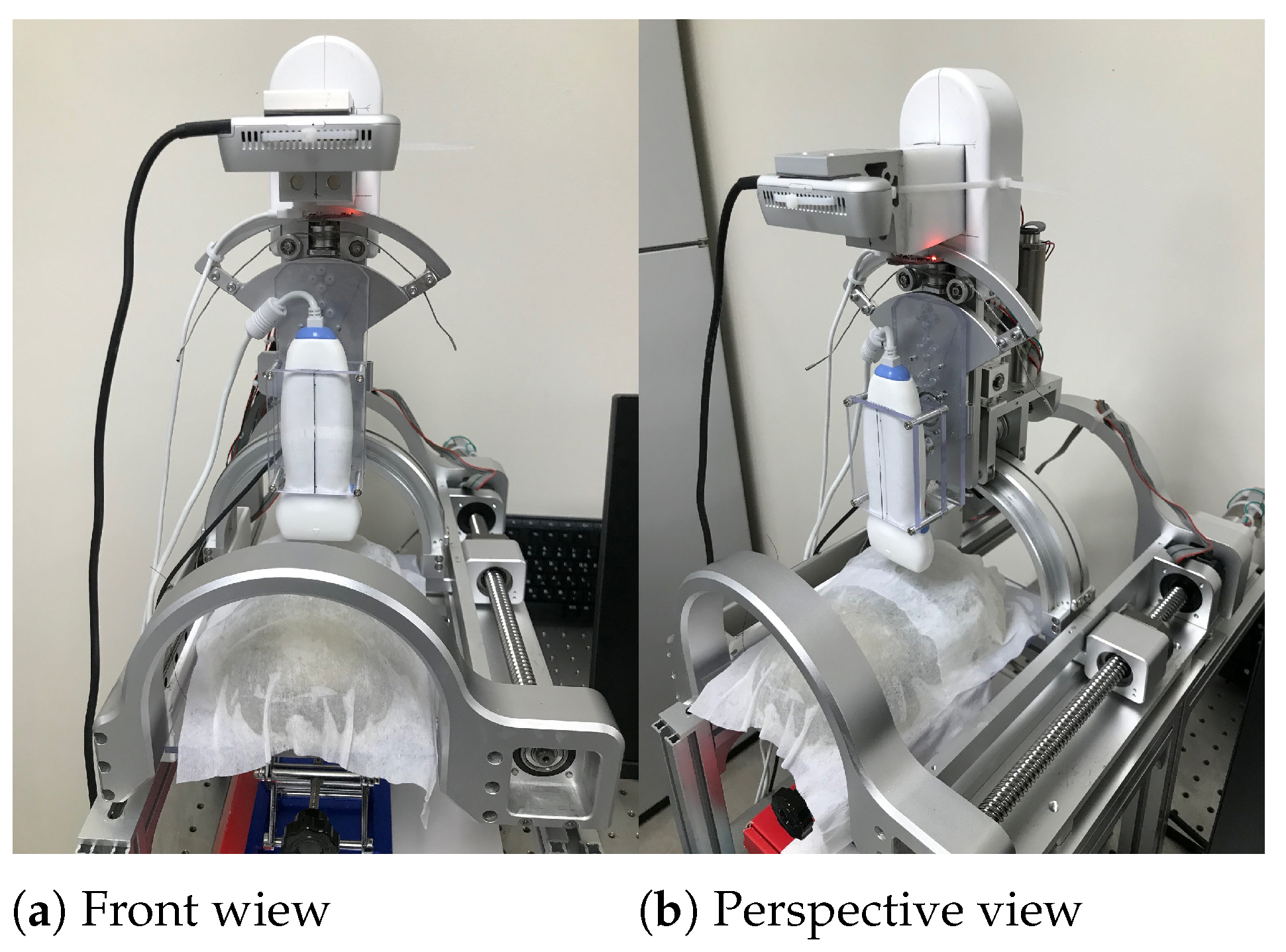 Biosensors 11 00243 g008 550