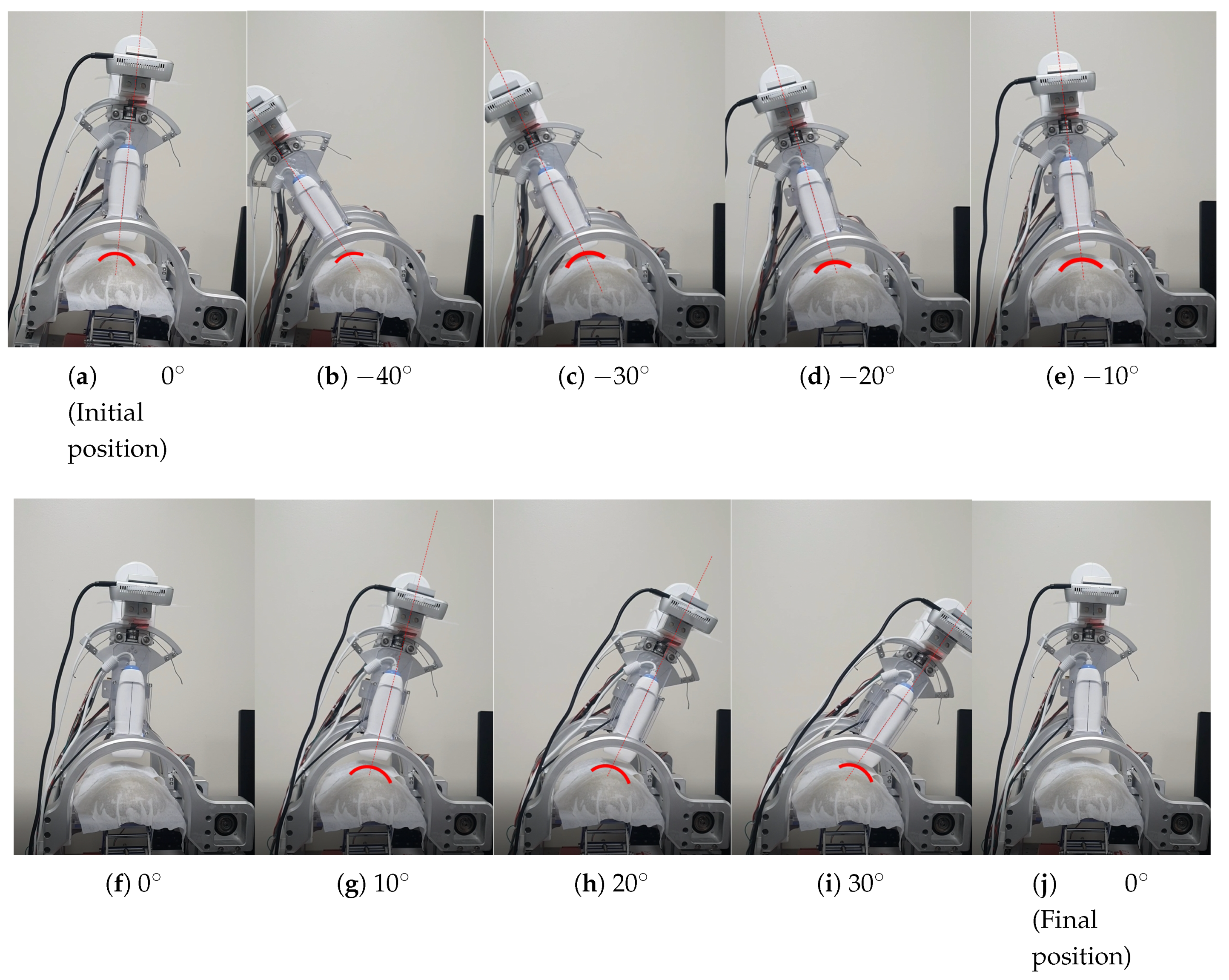 Biosensors 11 00243 g009 550